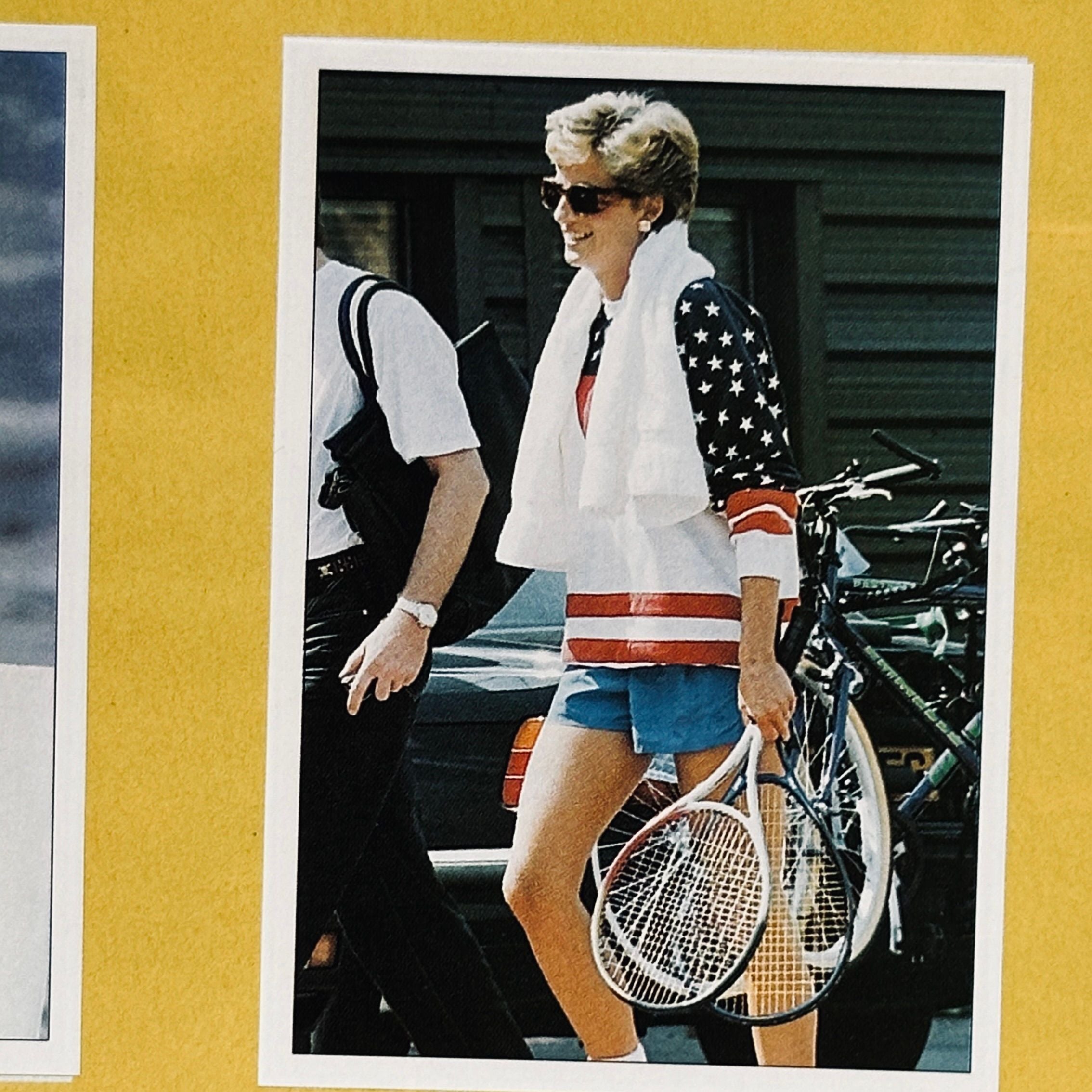 Diana Panini Sticker Collection