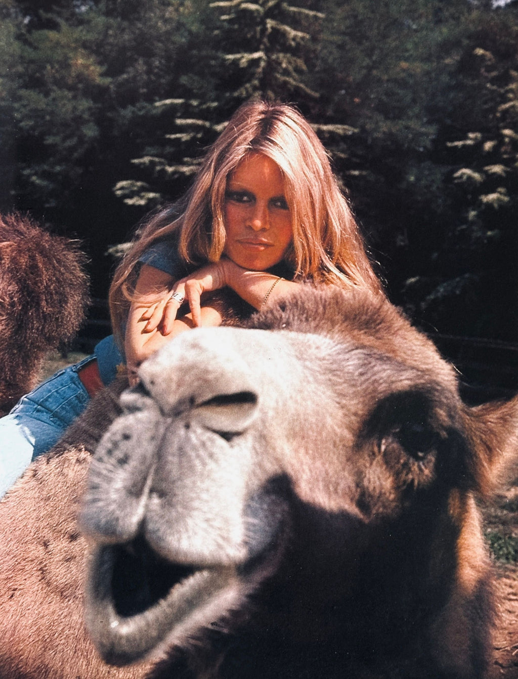 Brigitte Bardot Amie des Animaux