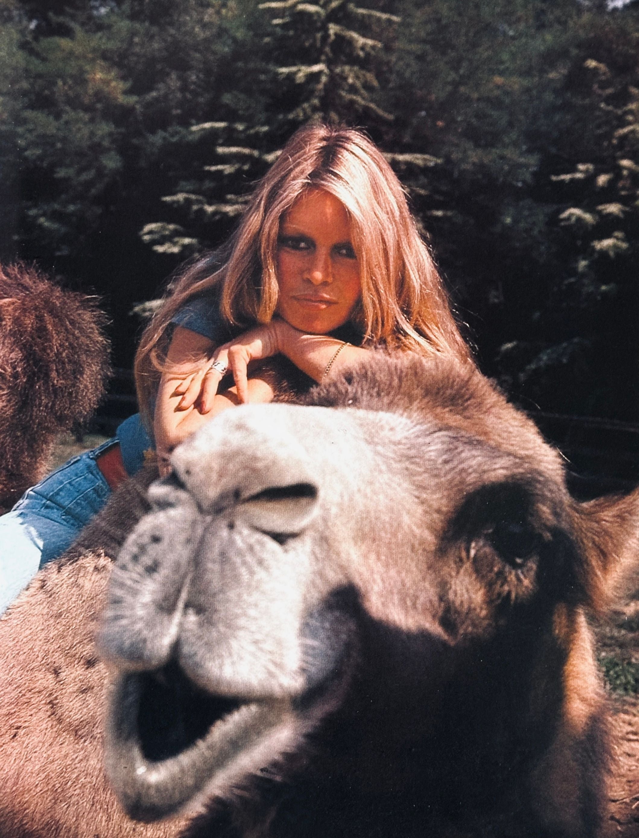 Brigitte Bardot Amie des Animaux