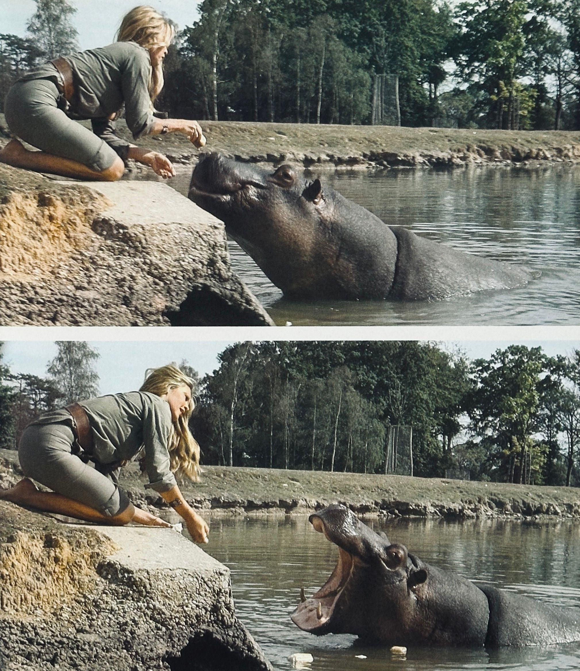 Brigitte Bardot Amie des Animaux