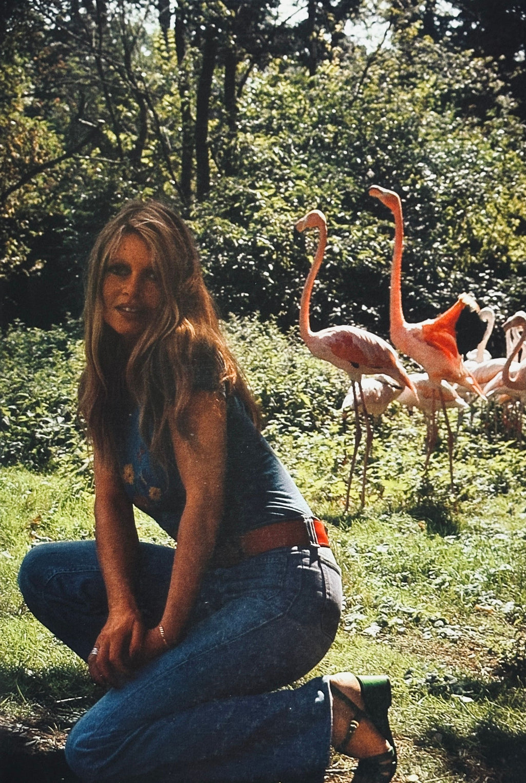 Brigitte Bardot Amie des Animaux