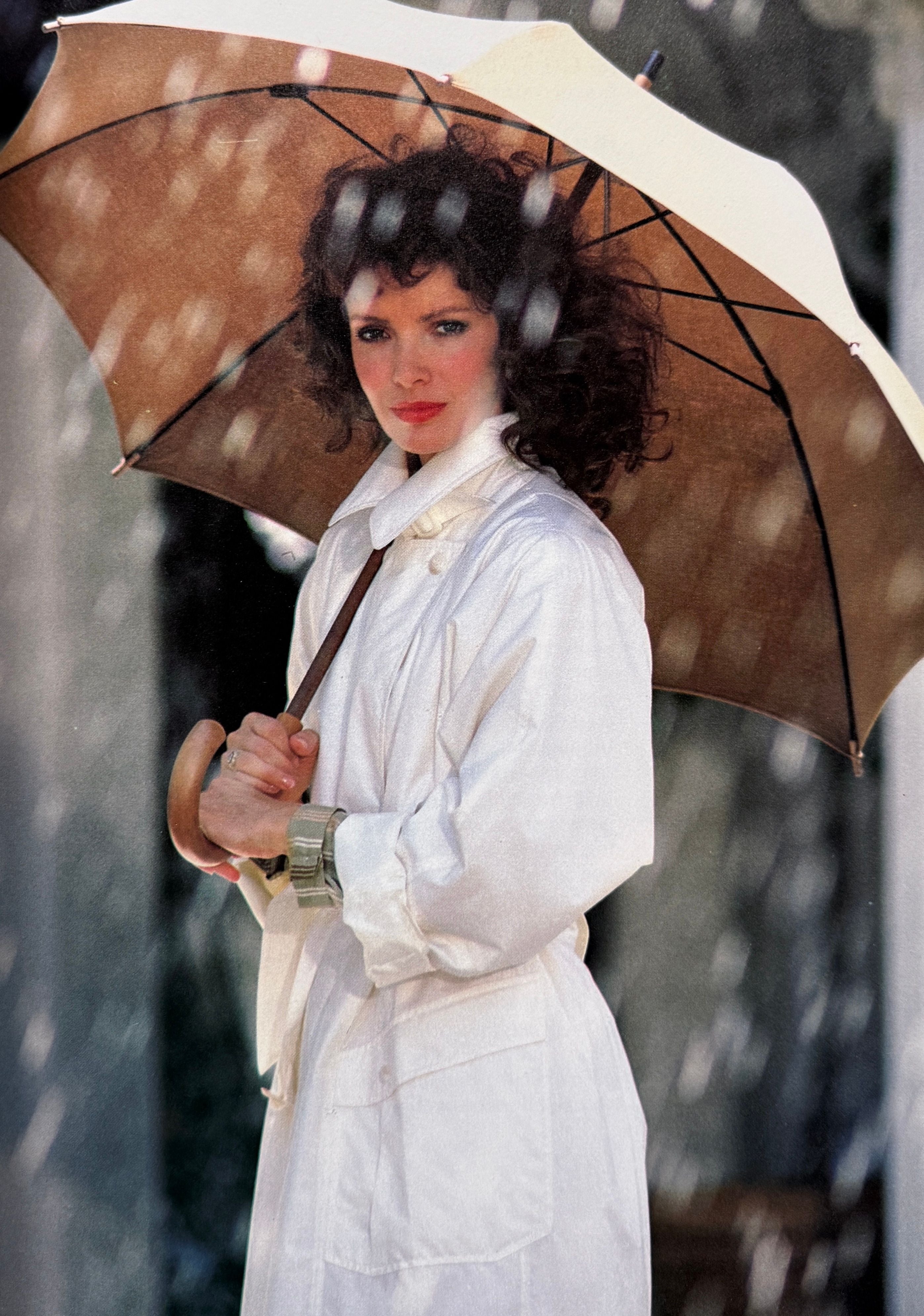 The American Look by Jaclyn Smith