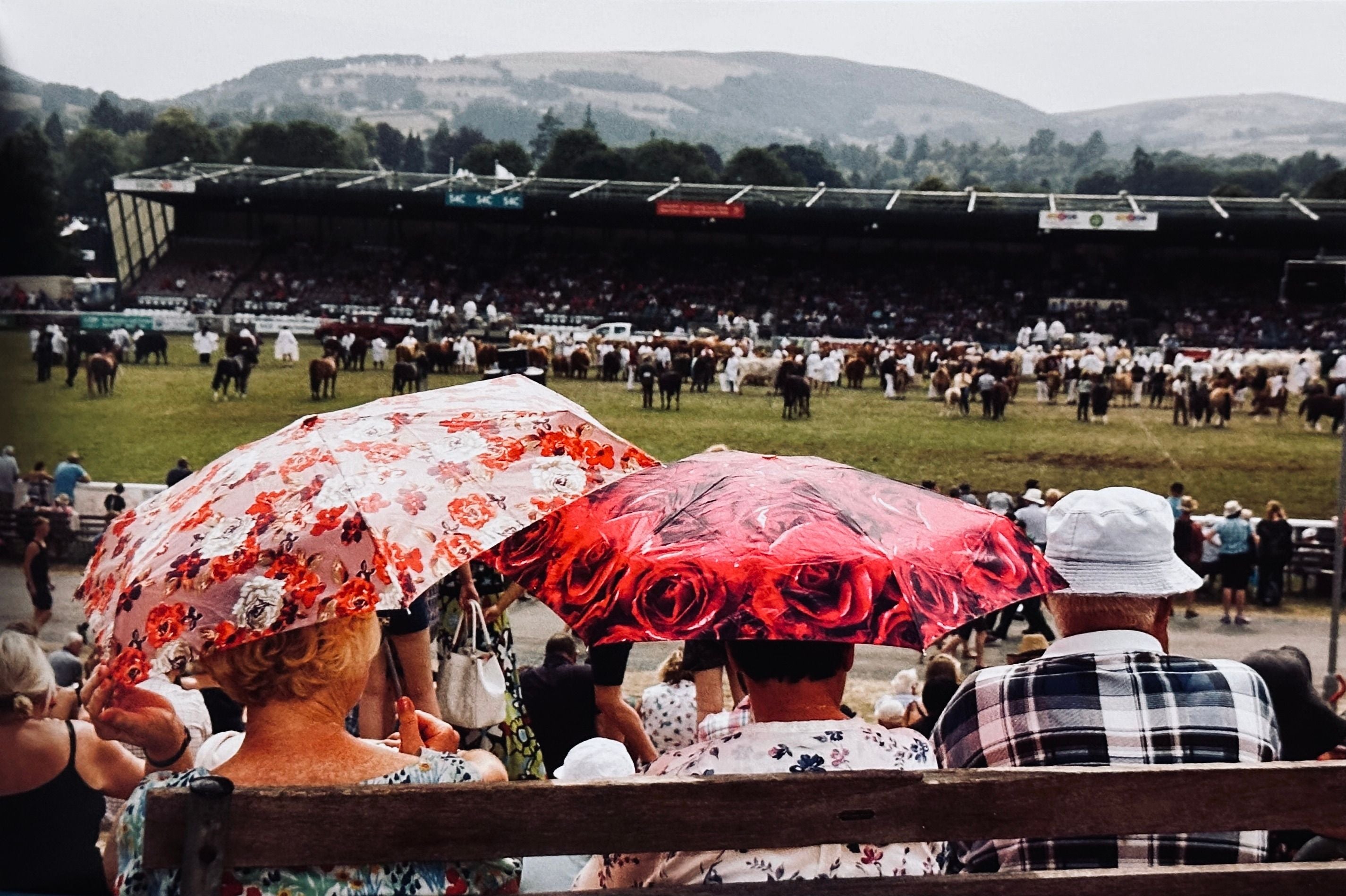 [SIGNED] MARTIN PARR IN WALES