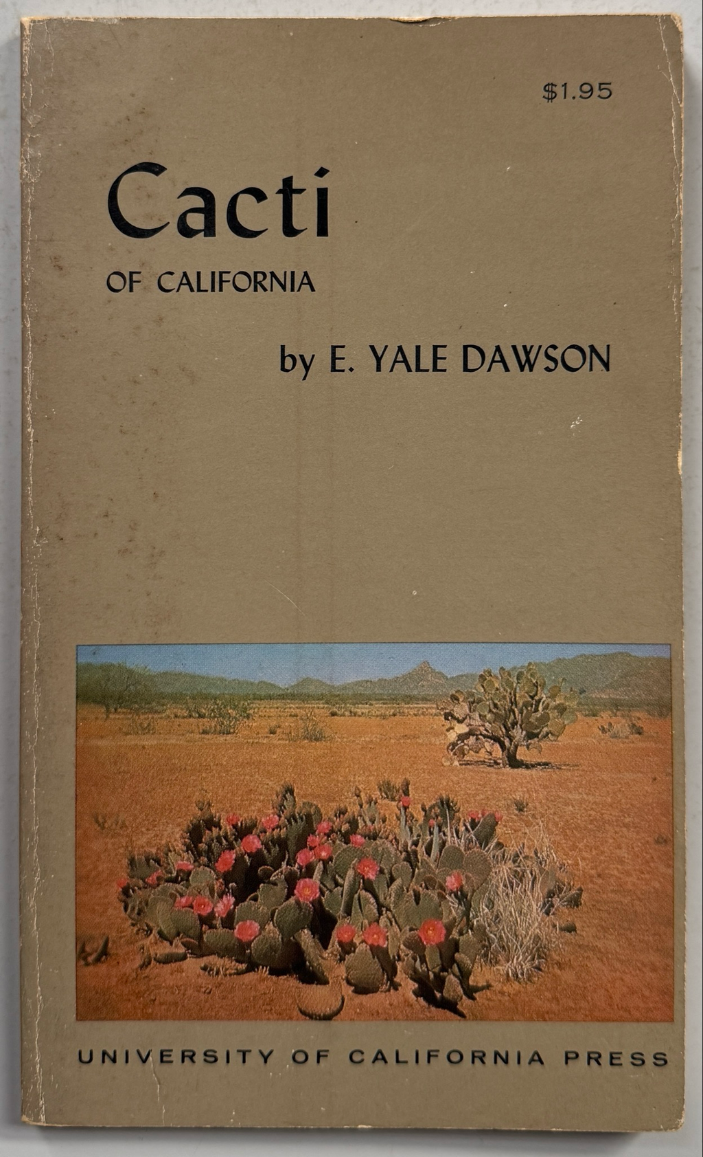 The Cacti of California