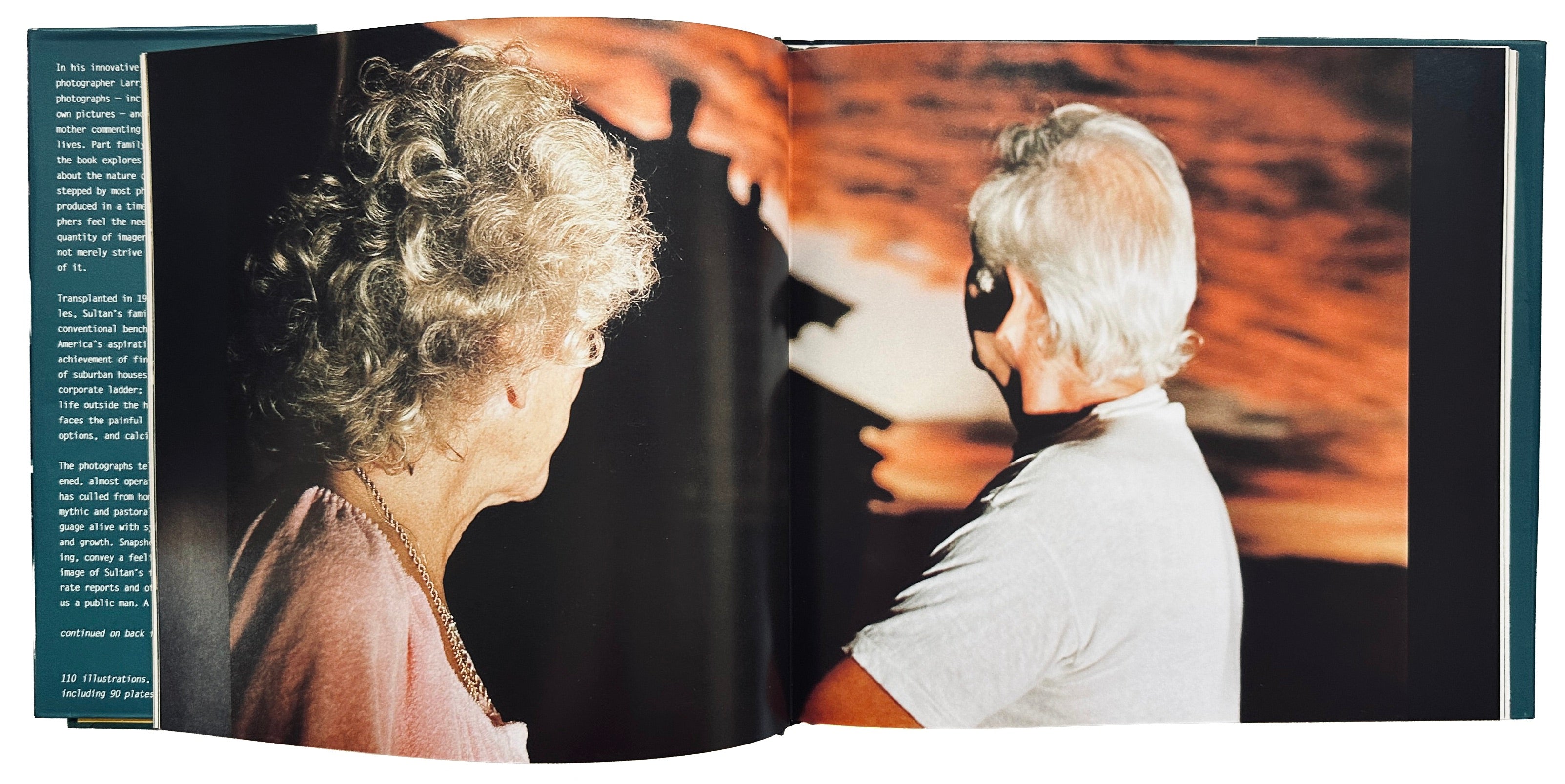 Larry Sultan Pictures from Home