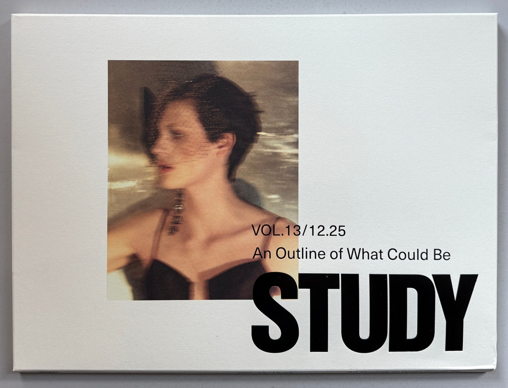 Study Volume 13 - An Outline Of What Could be
