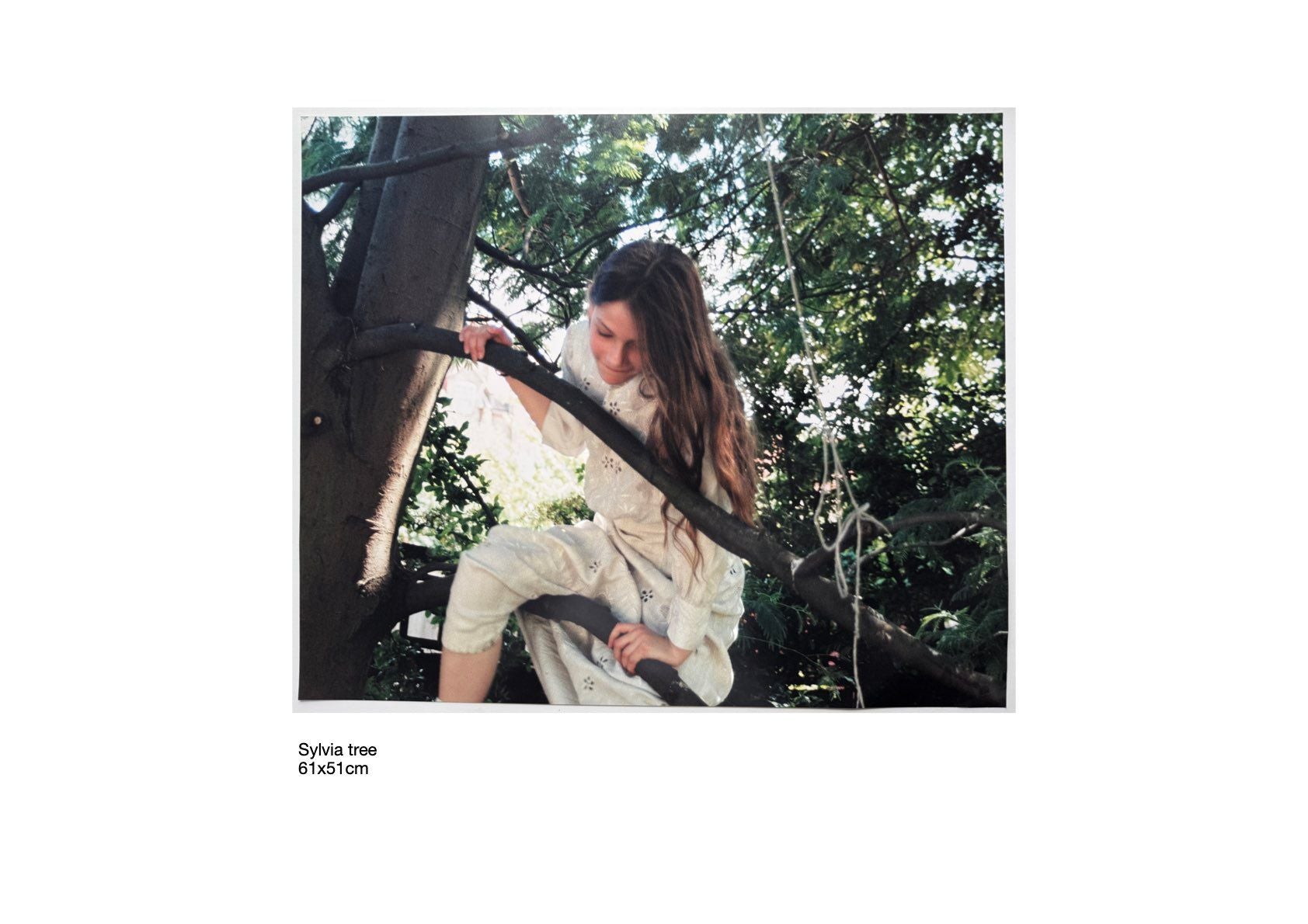 Angela Hill - Sylvia tree – IDEA