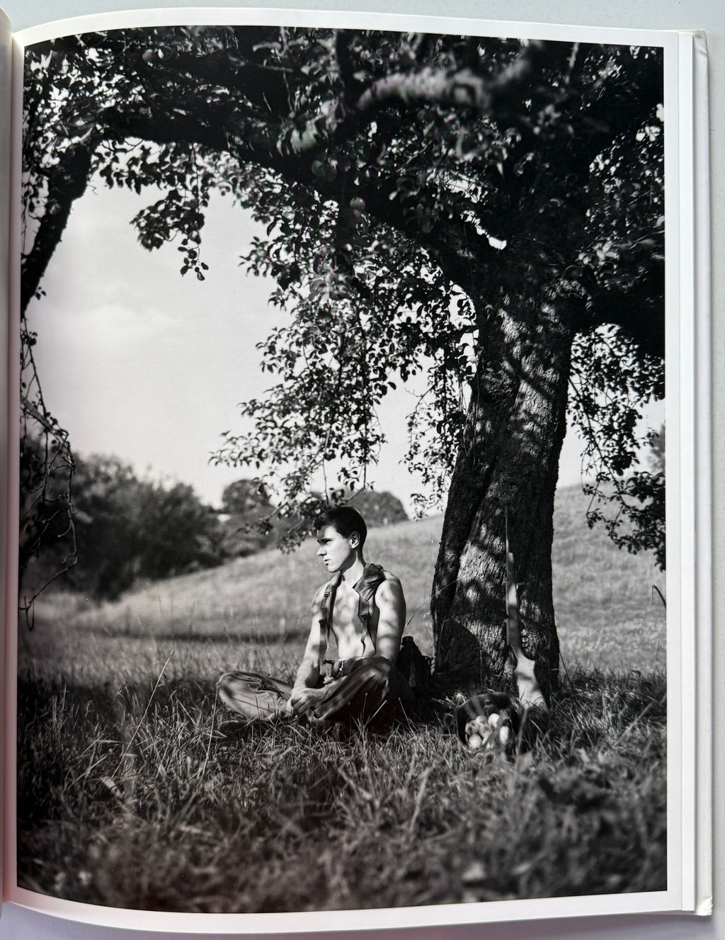 Collier Schorr Neighbors Nachbarn