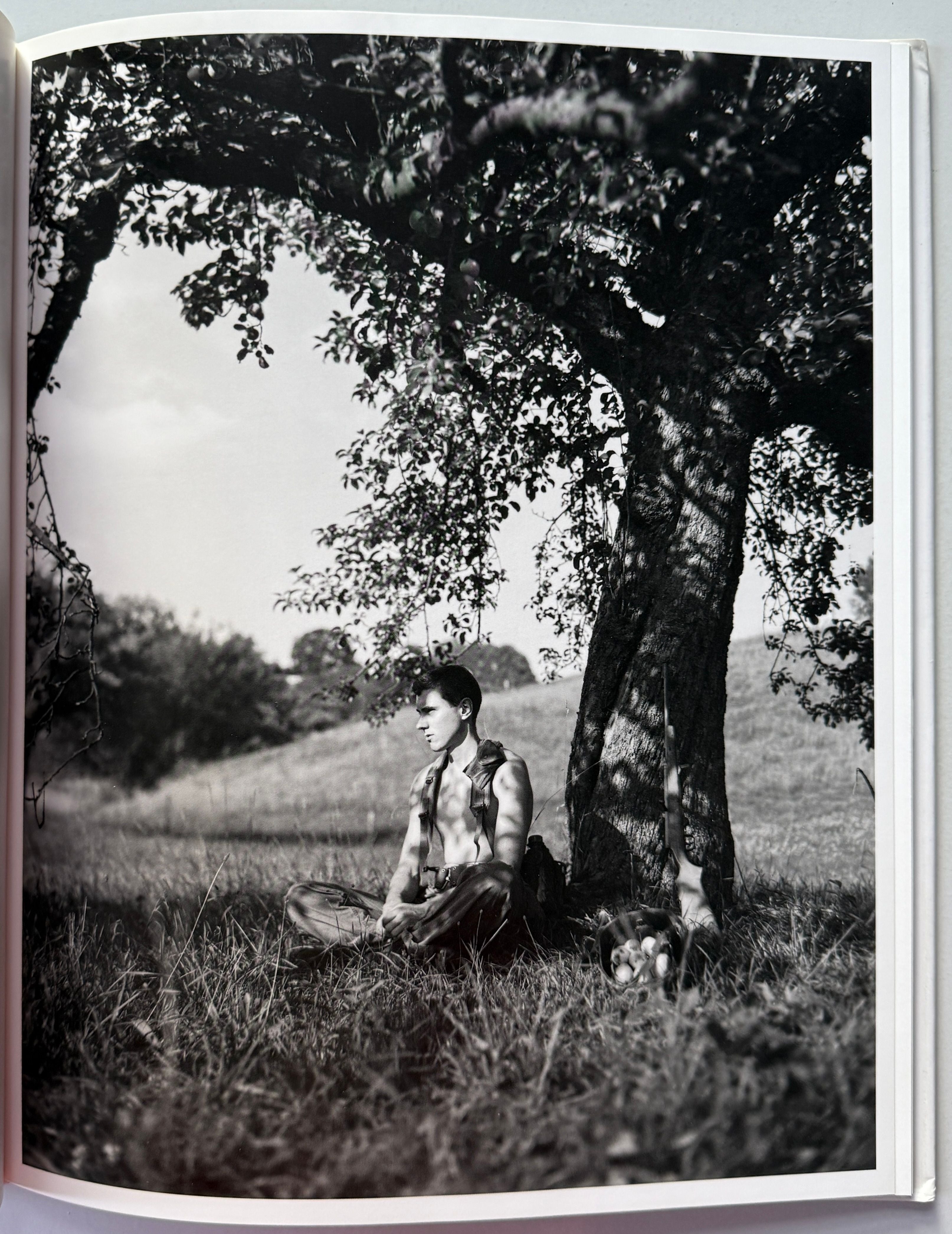 Collier Schorr Neighbors Nachbarn