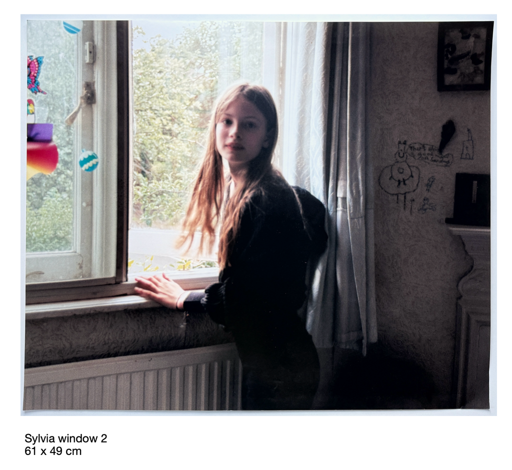 Angela Hill - Sylvia window 2