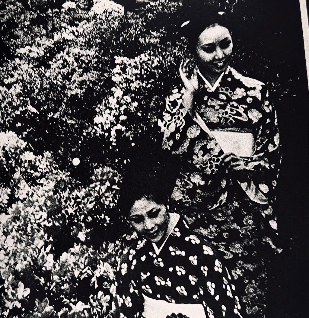 Daido Moriyama Nippon Theater Photo Album