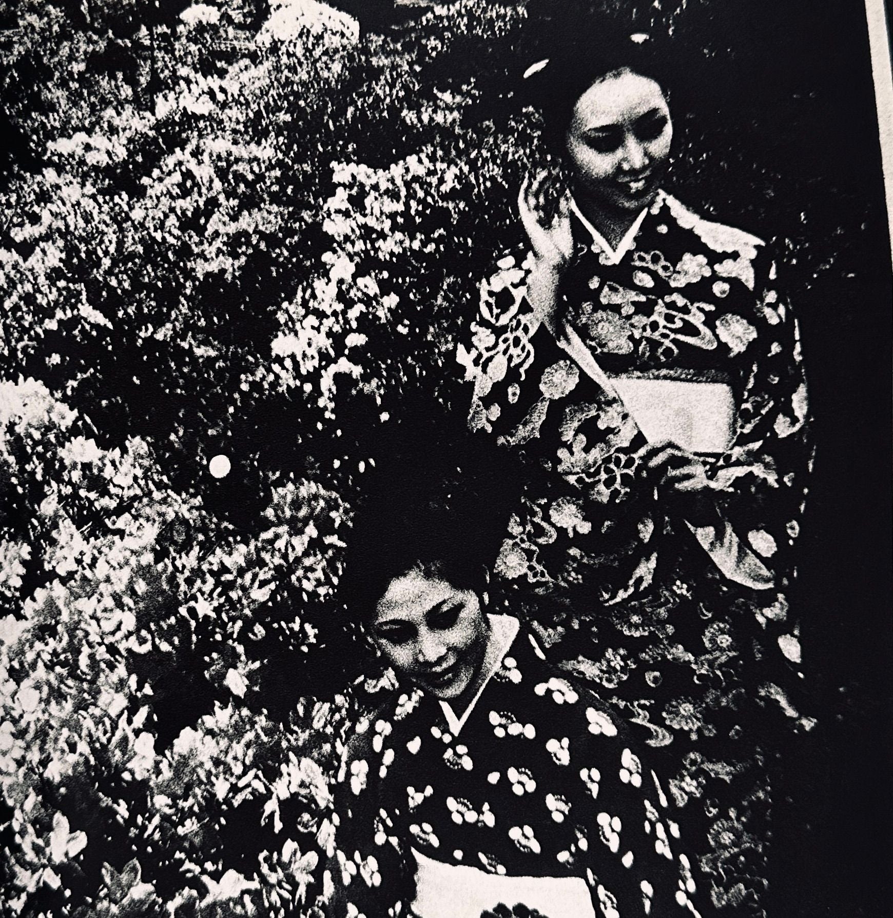 Daido Moriyama Nippon Theater Photo Album