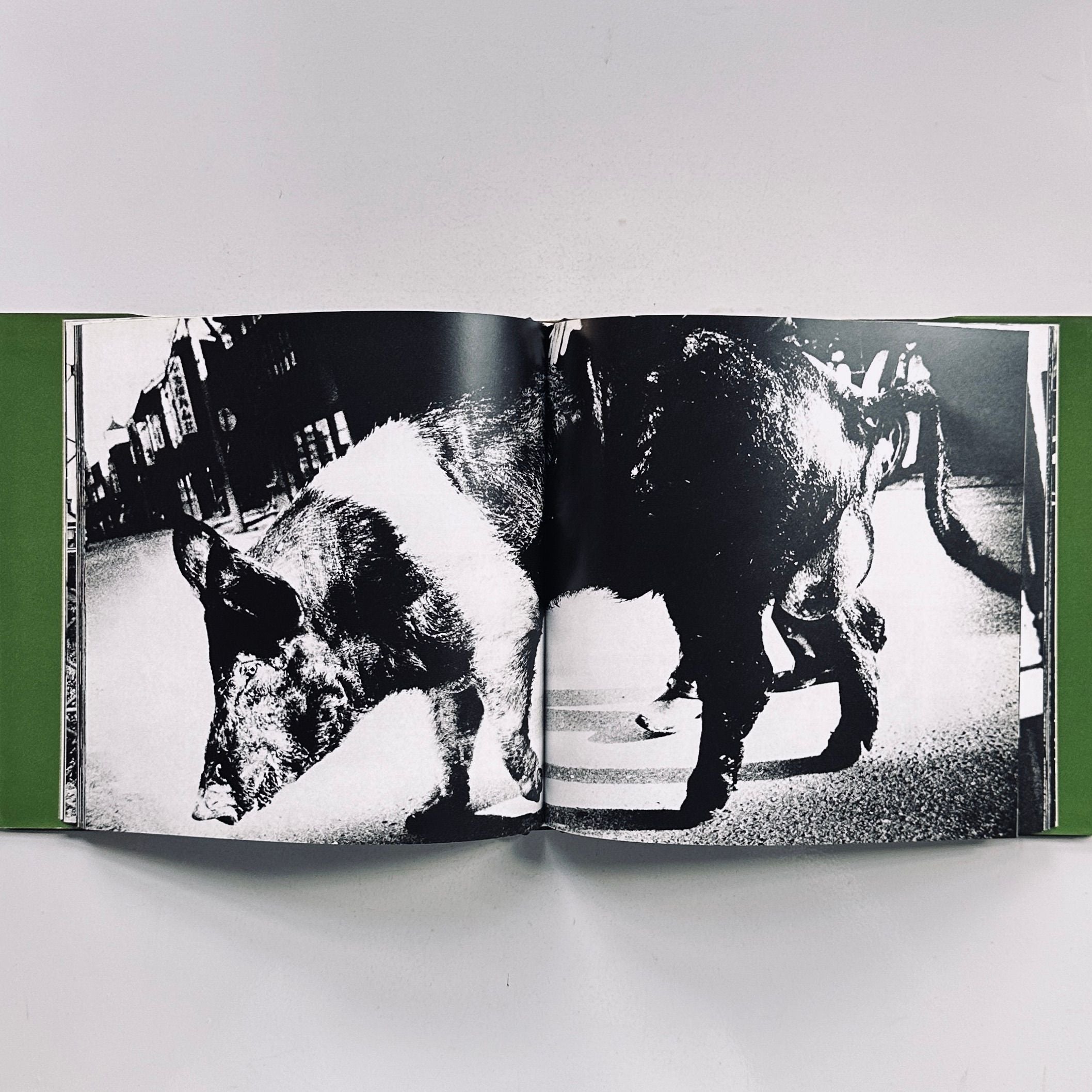 Daido Moriyama Nippon Theater Photo Album
