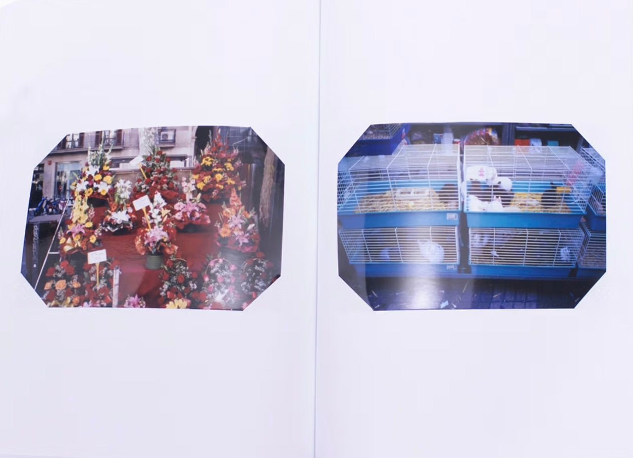 [SIGNED] SUPERFRONTAL NAIMA KARLSSON