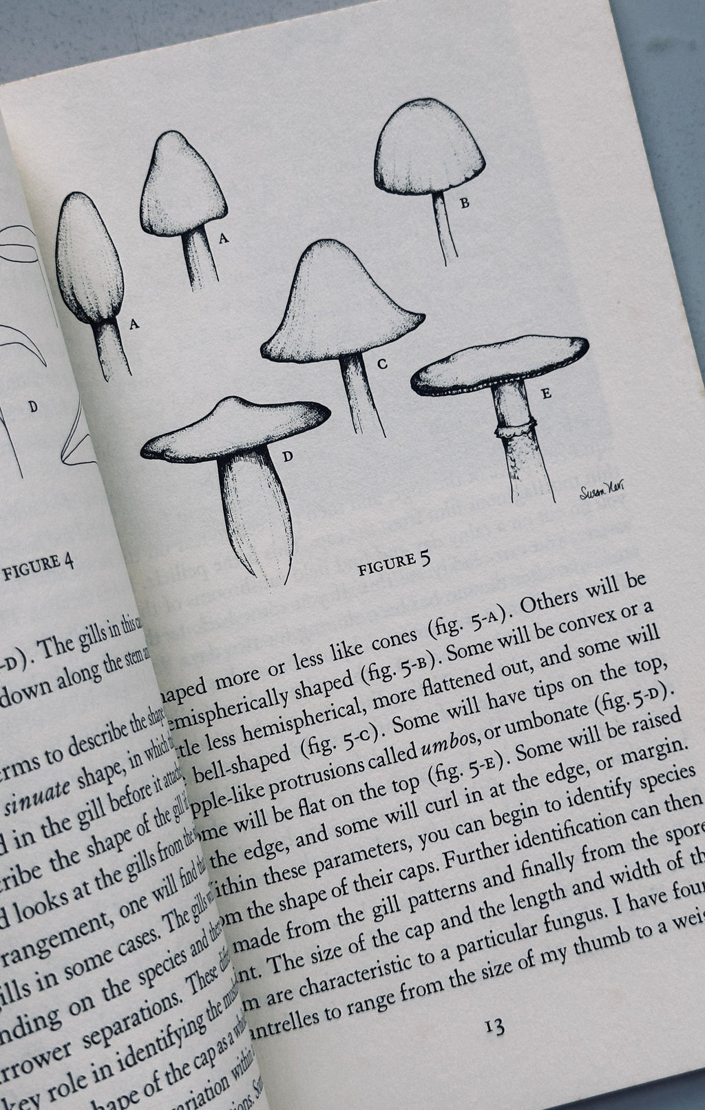 Growing Wild Mushrooms