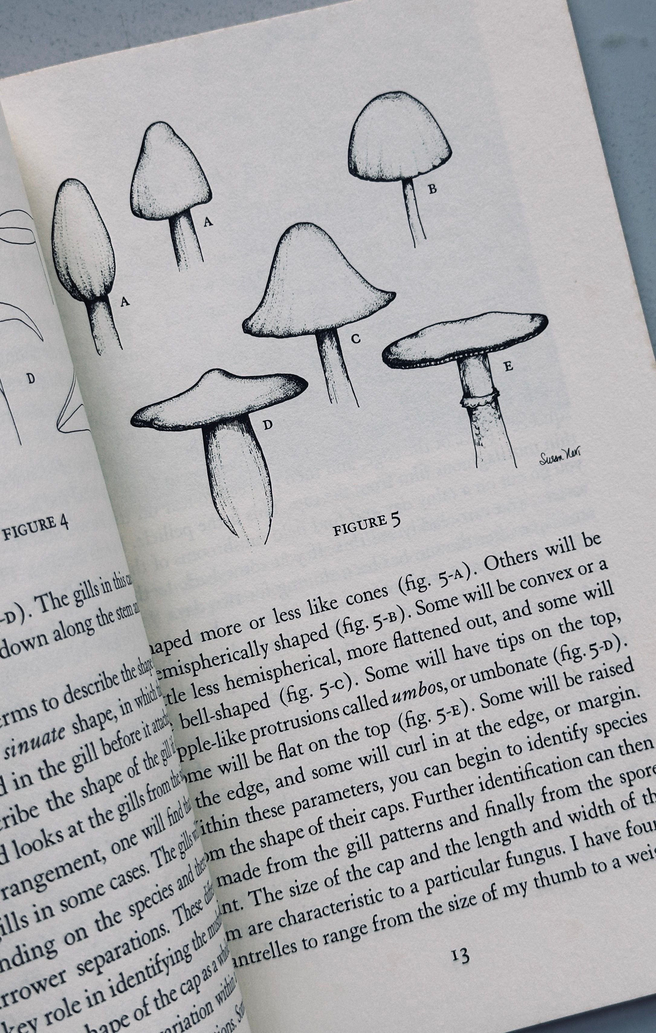 Growing Wild Mushrooms