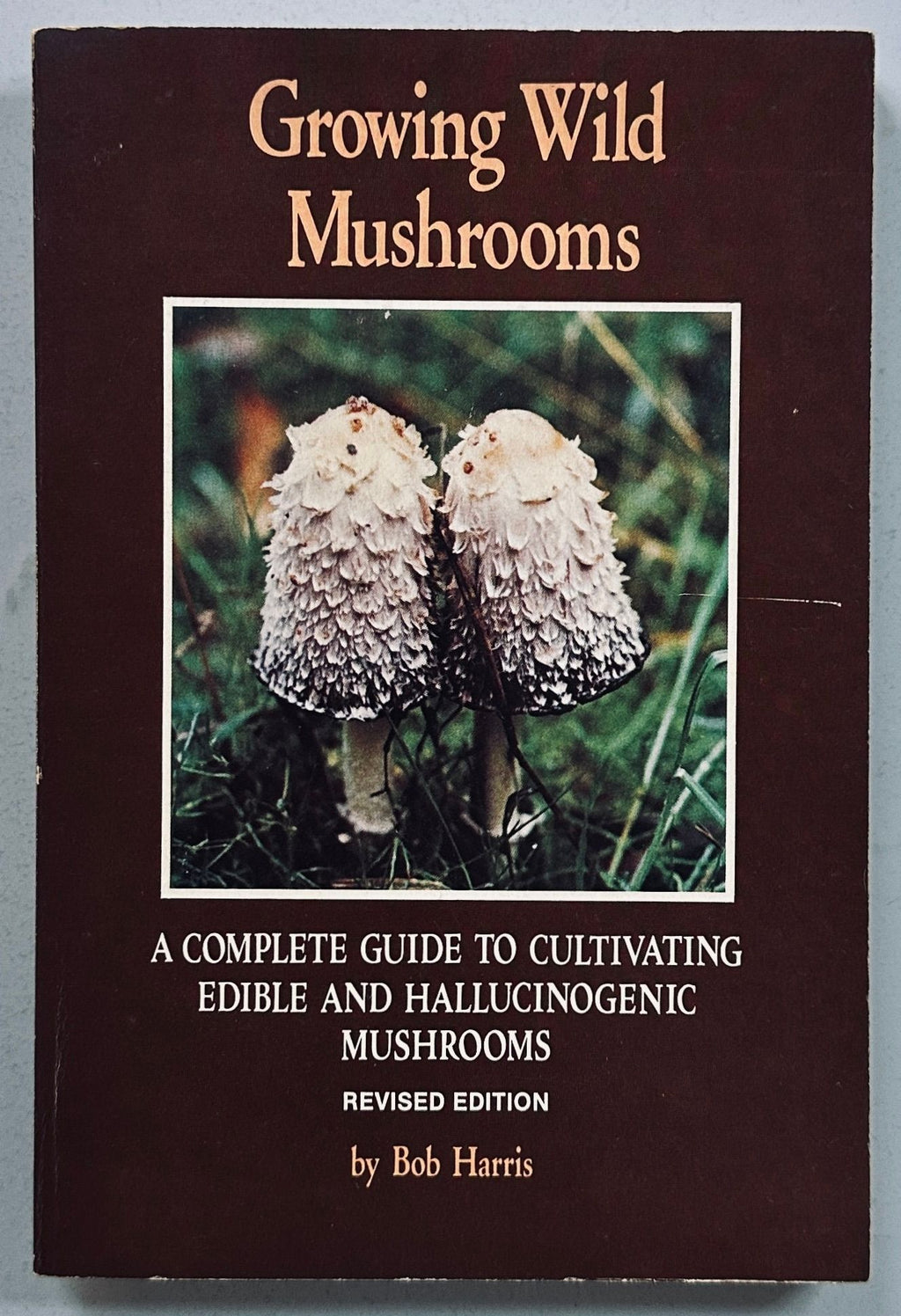 Growing Wild Mushrooms