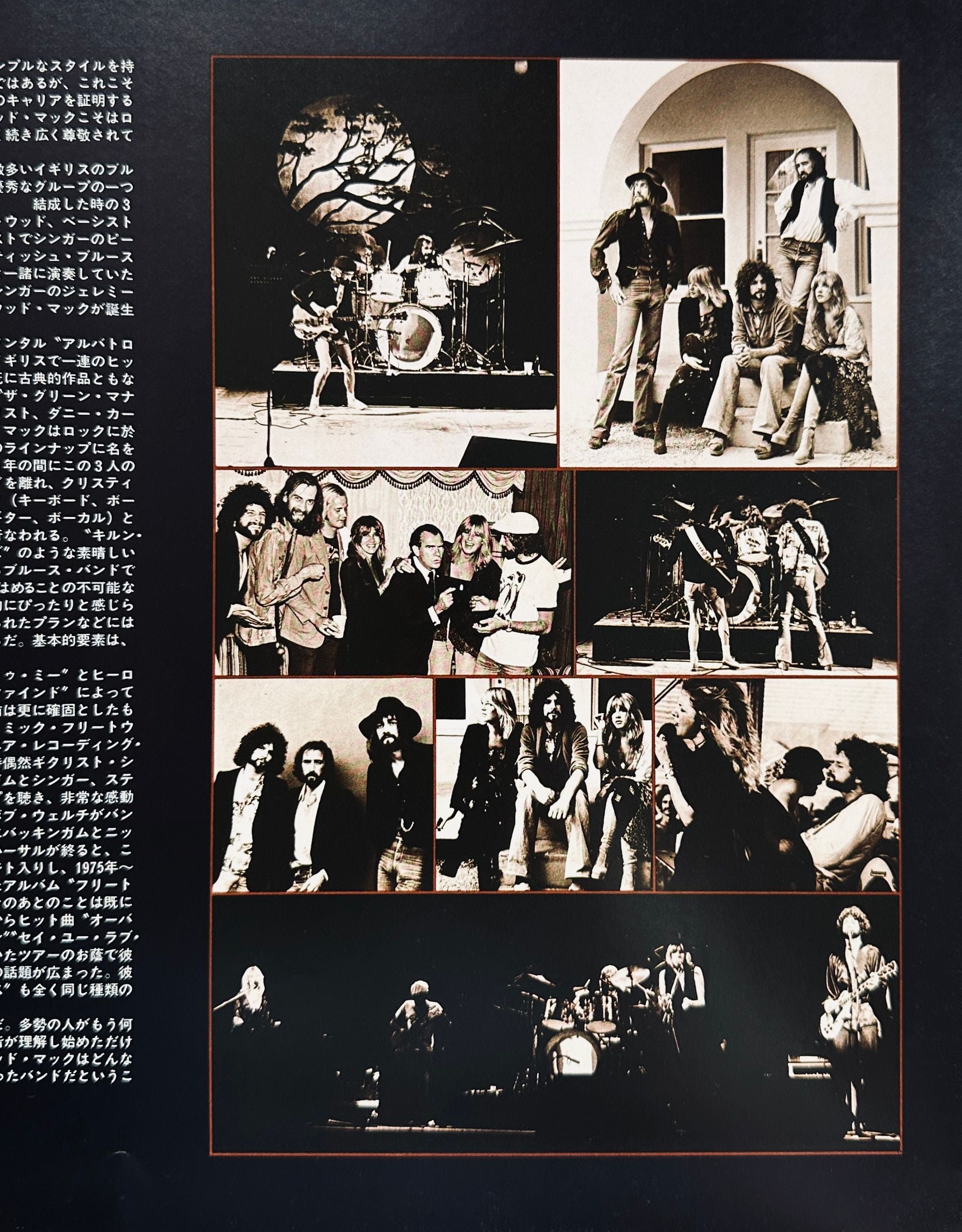 Fleetwood Mac In Concert