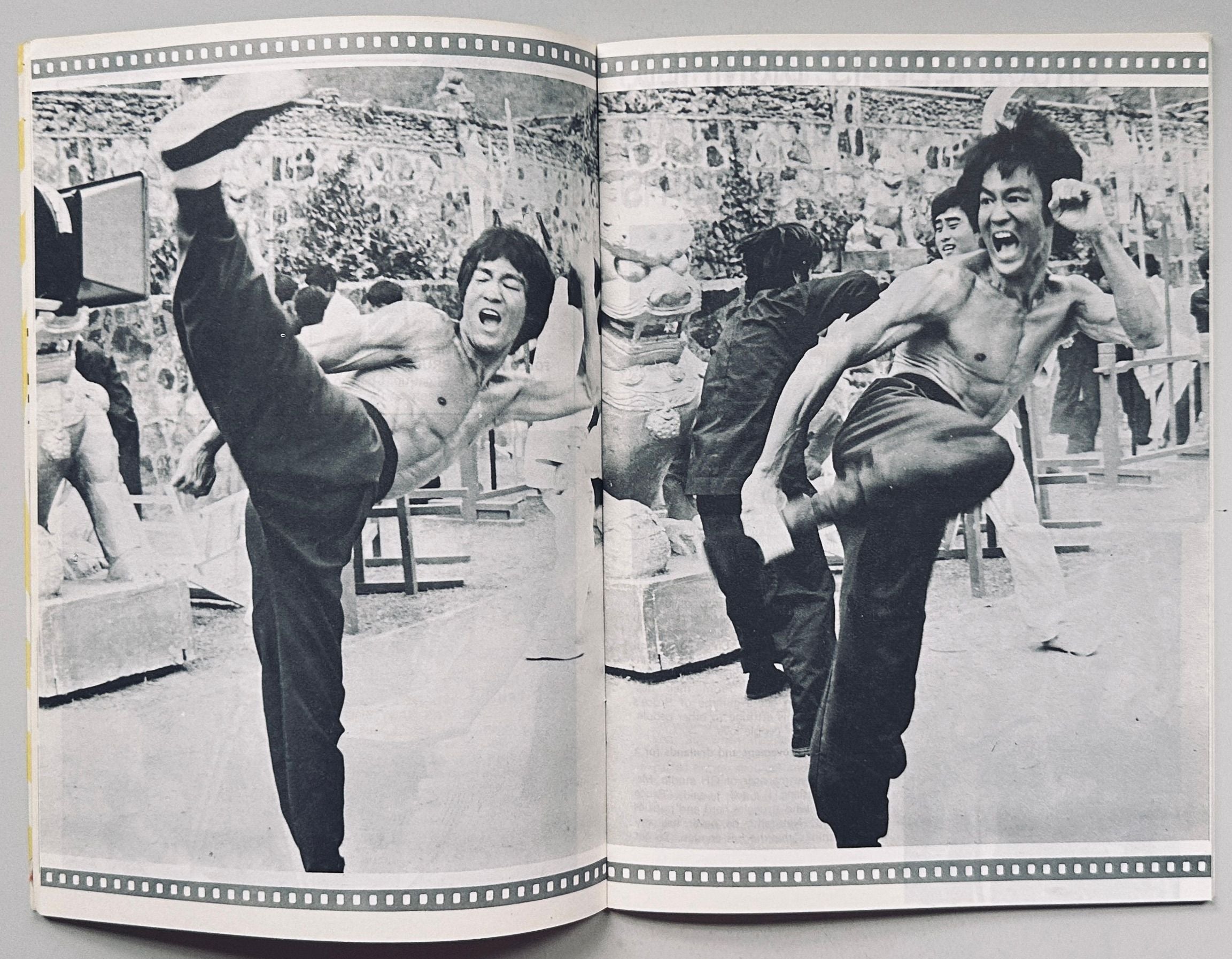 Bruce Lee His Privacy and Anecdotes