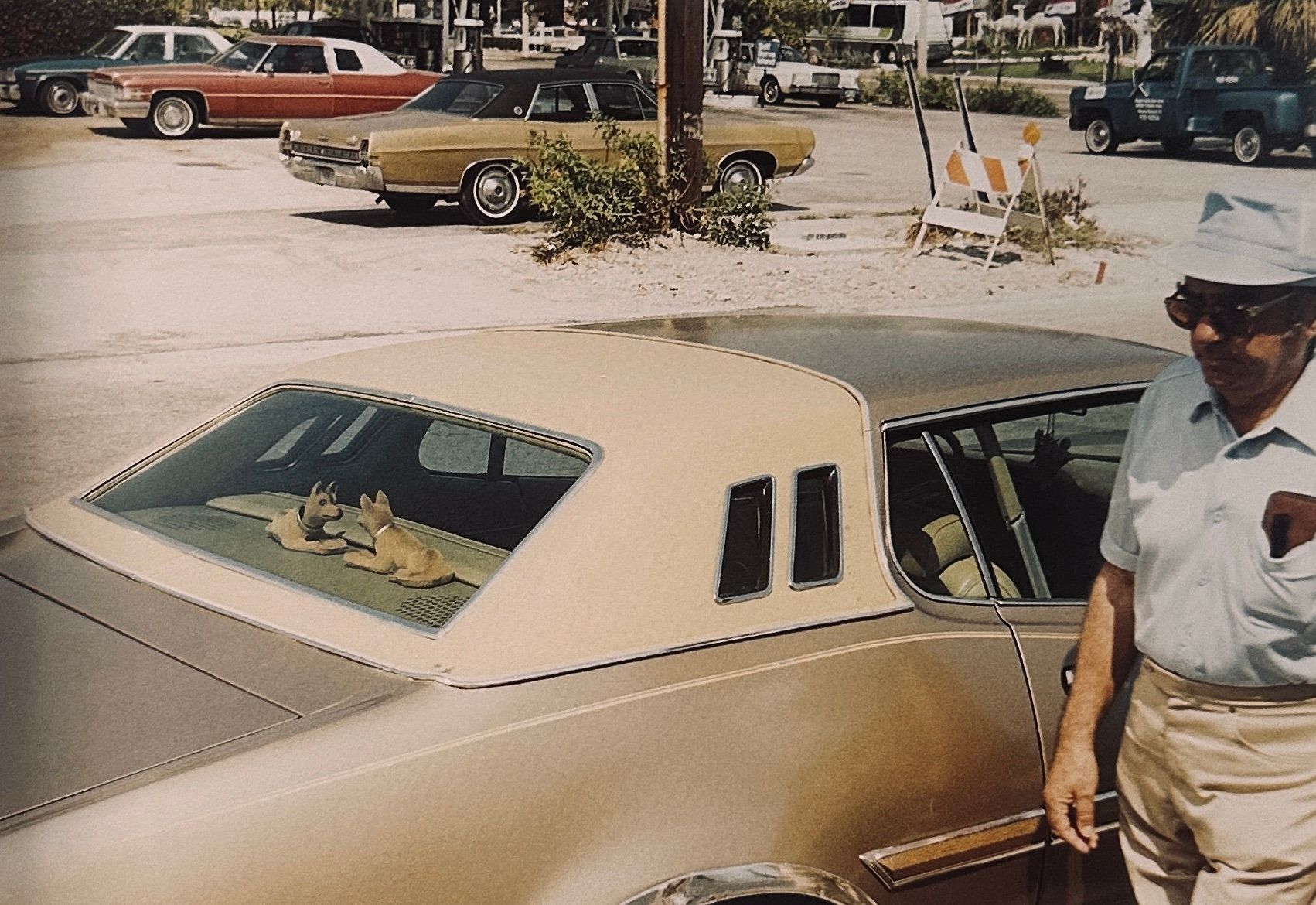 William Eggleston Horses and Dogs