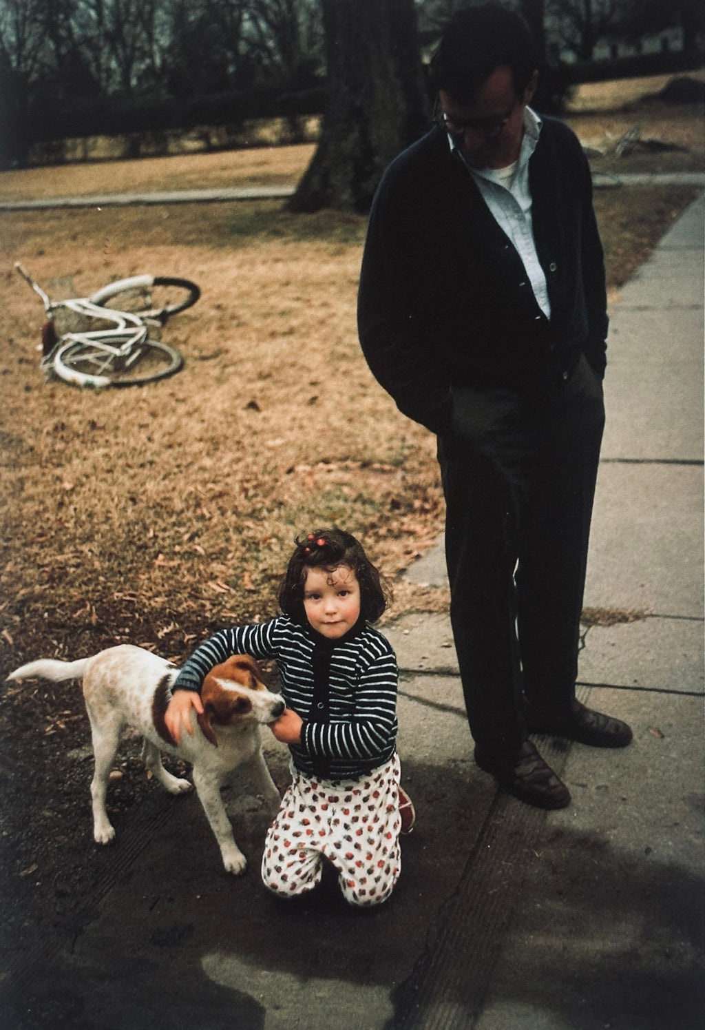 William Eggleston Horses and Dogs