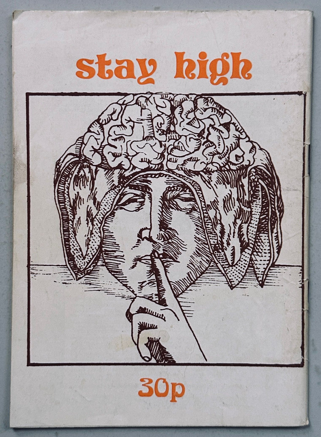 Alchemical Almanac A Notebook of Herbal Highs