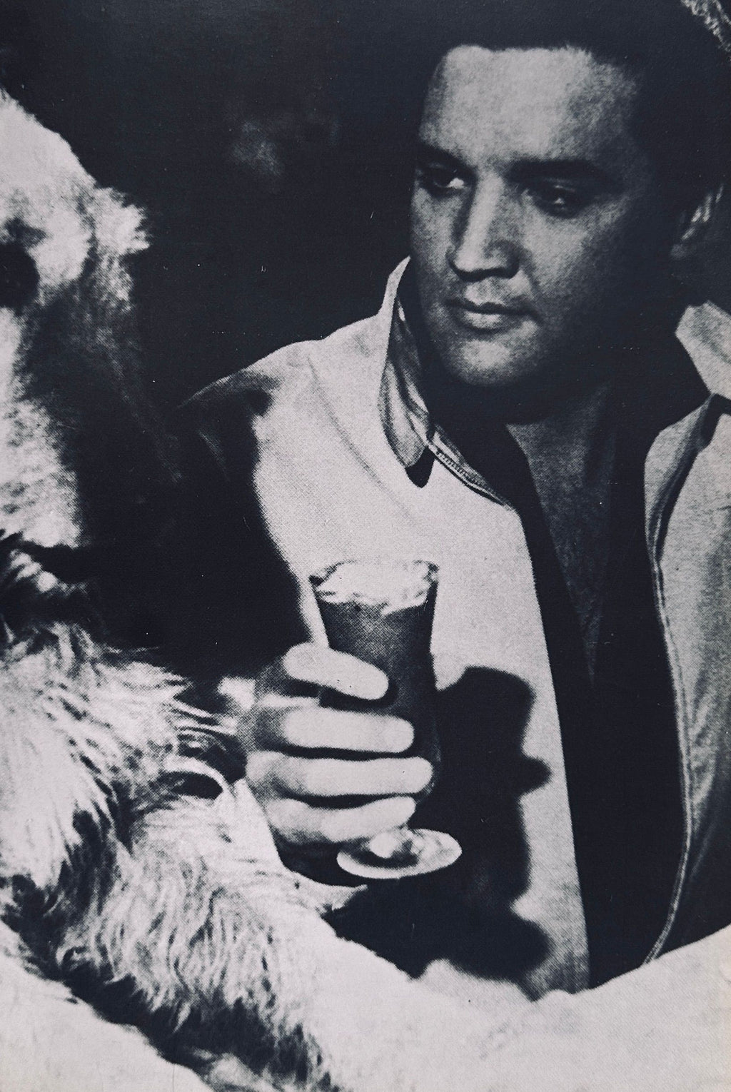 Candidly Elvis