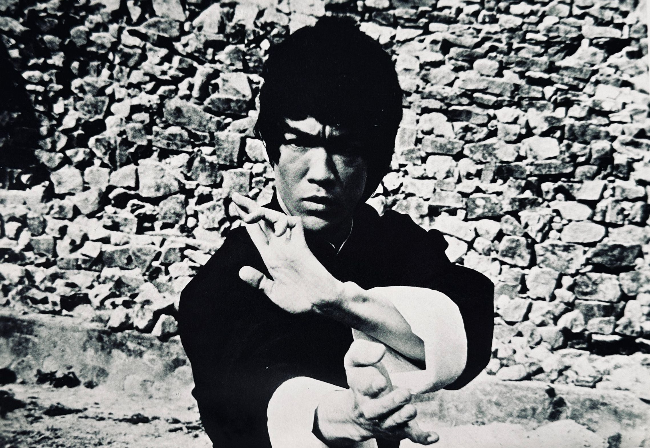 Bruce Lee Icon Book 1978