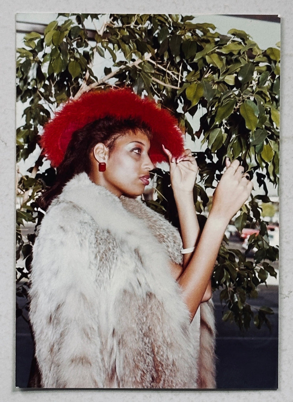 Emily Walter Archive