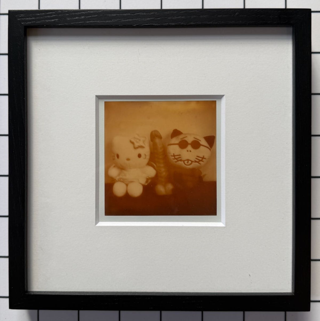 [SIGNED] ARAKI POLAROID