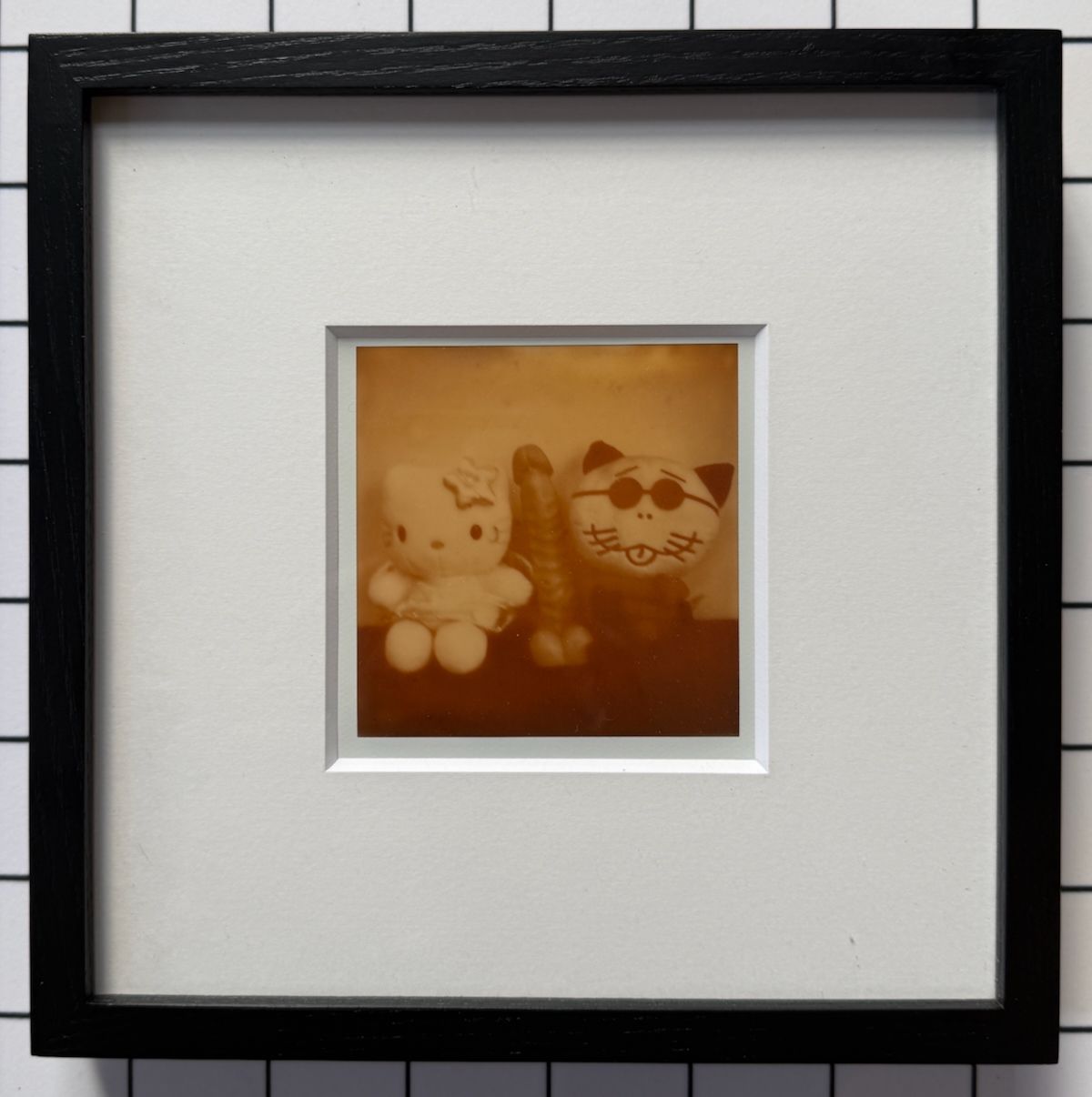 [SIGNED] ARAKI POLAROID