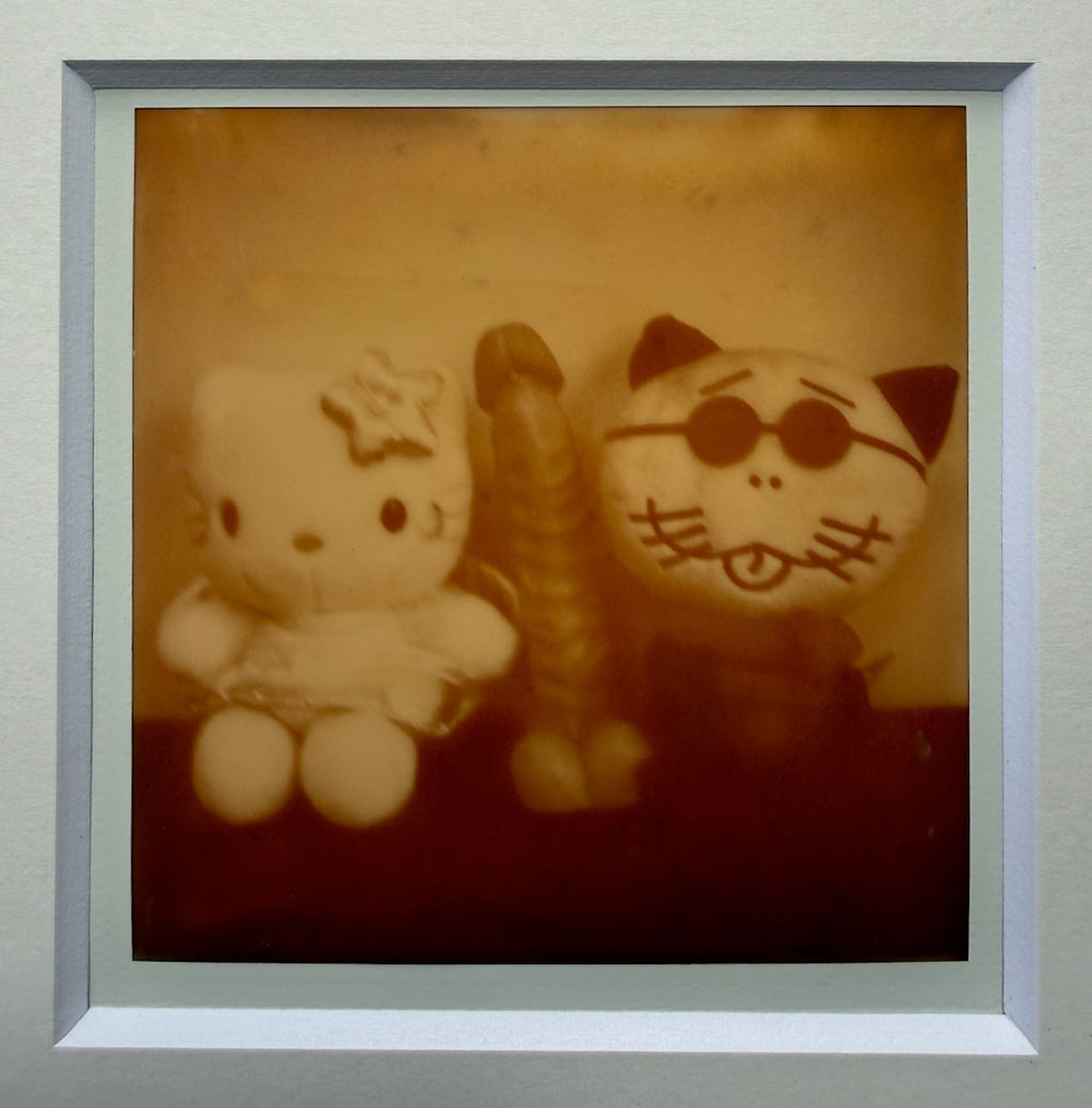 [SIGNED] ARAKI POLAROID