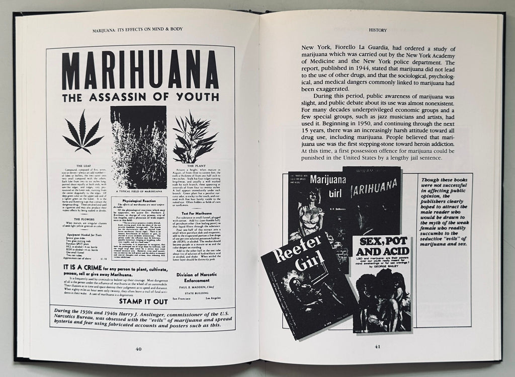 Marijuana The Effects on Mind & Body