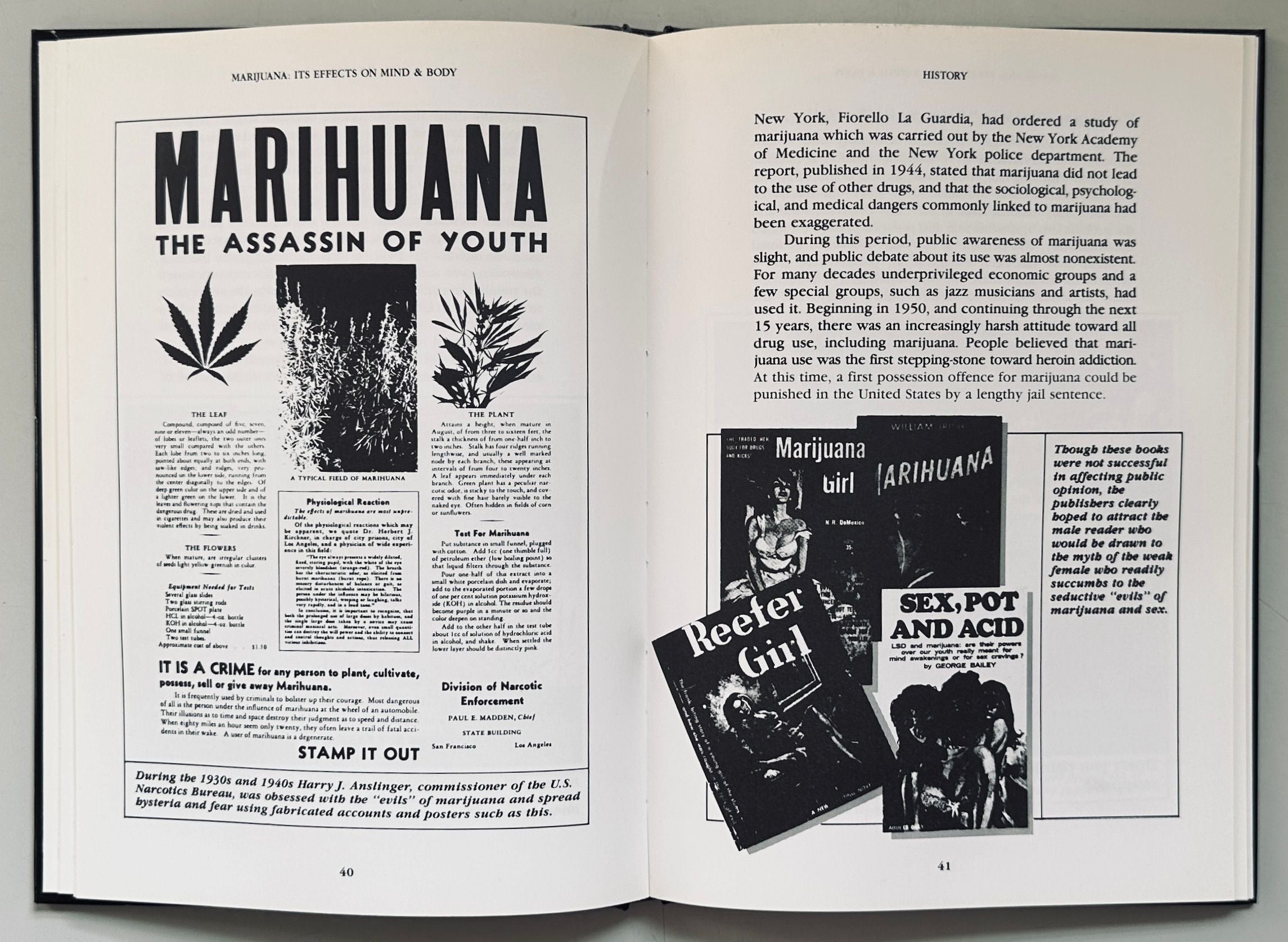 Marijuana The Effects on Mind & Body