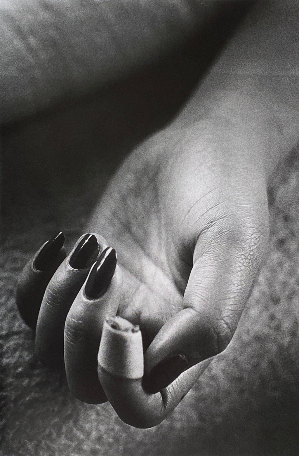 Daido Moriyama Fragments