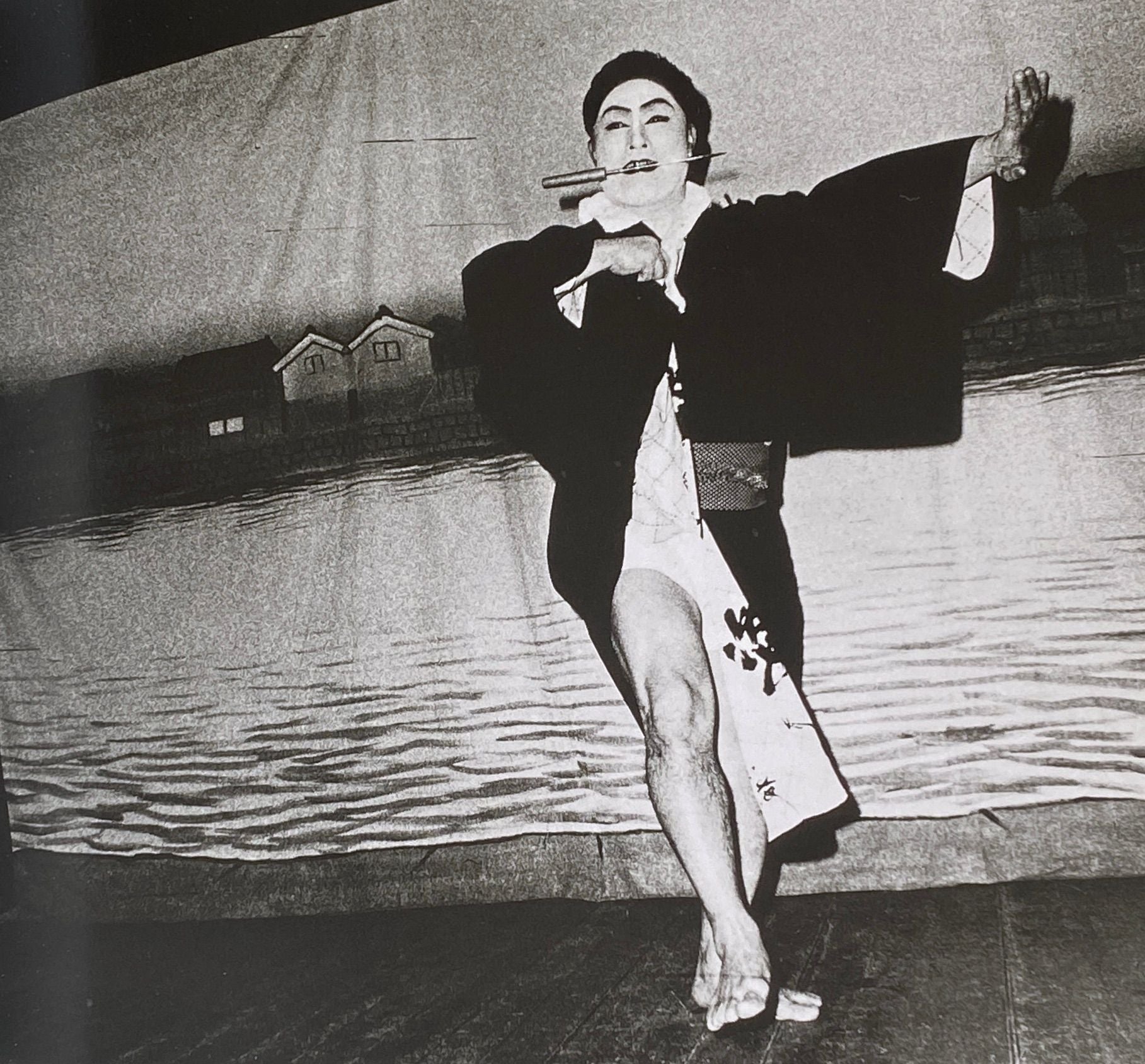 Daido Moriyama Stray Dog