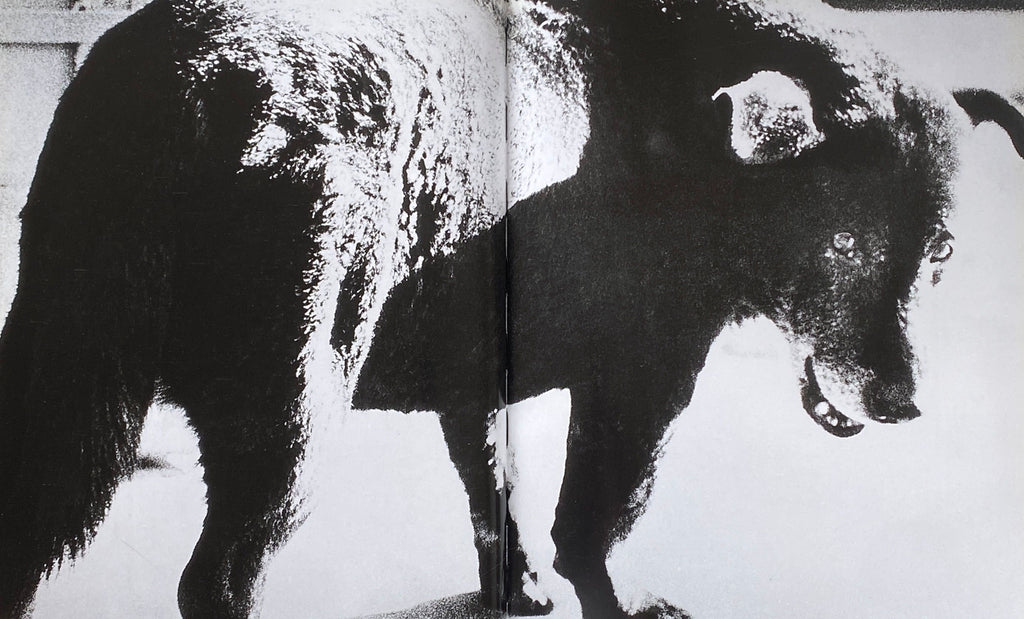 Daido Moriyama Fondation Cartier