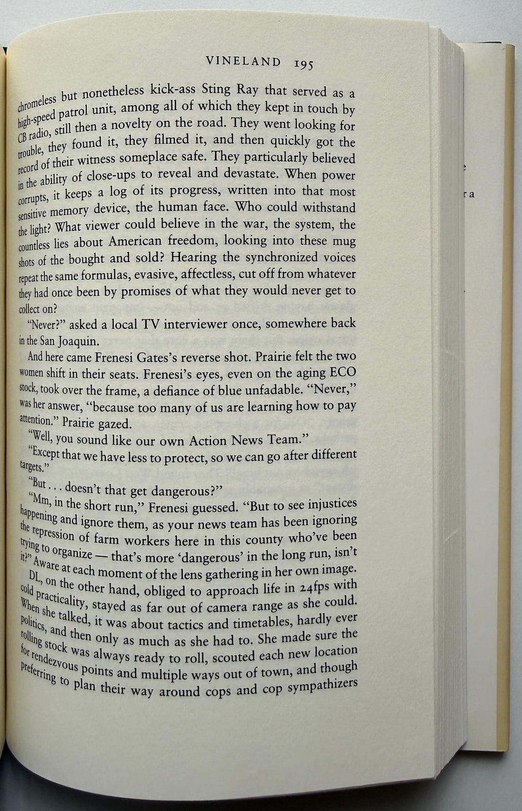 Thomas Pynchon Vineland