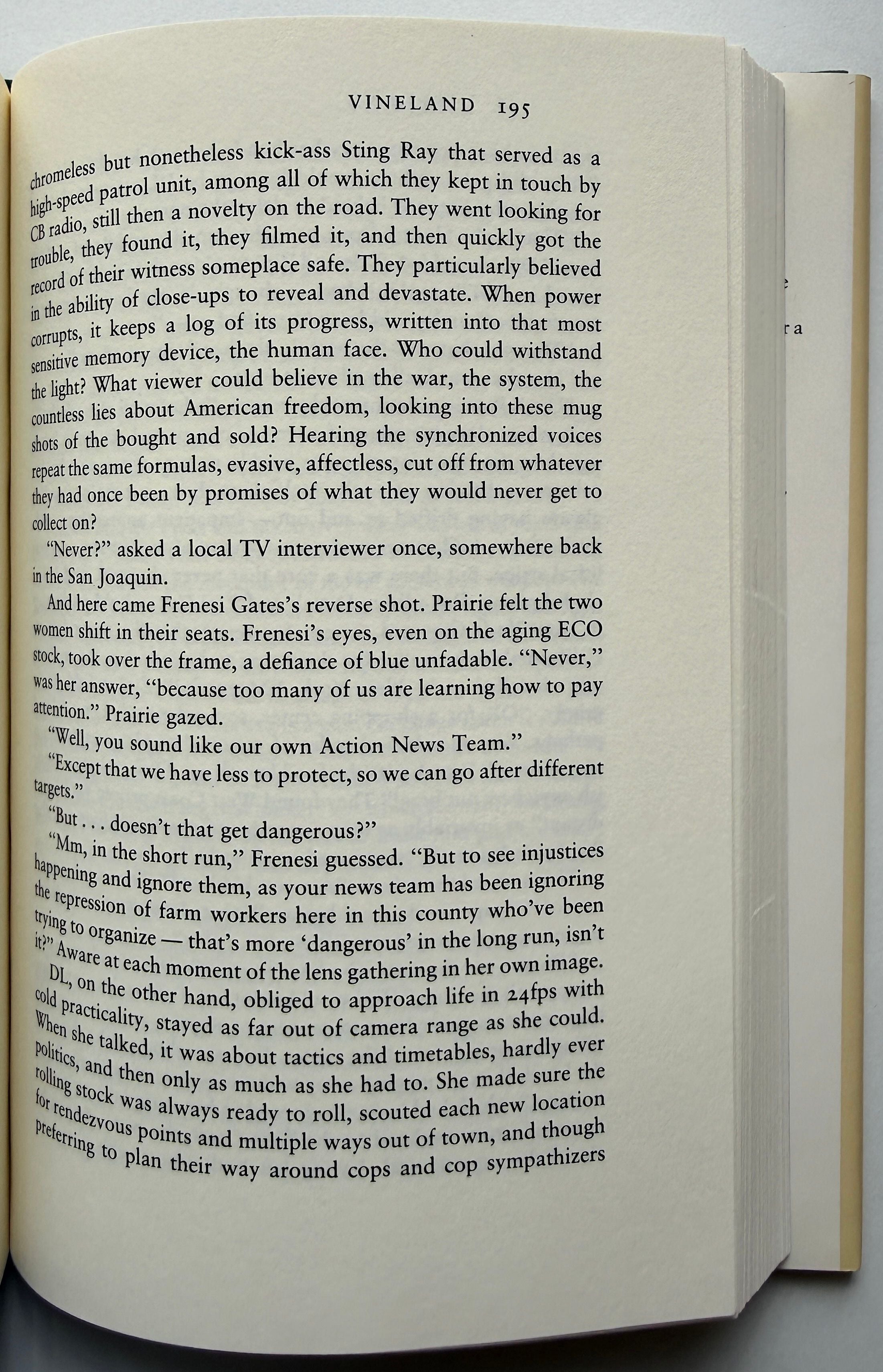 Thomas Pynchon Vineland