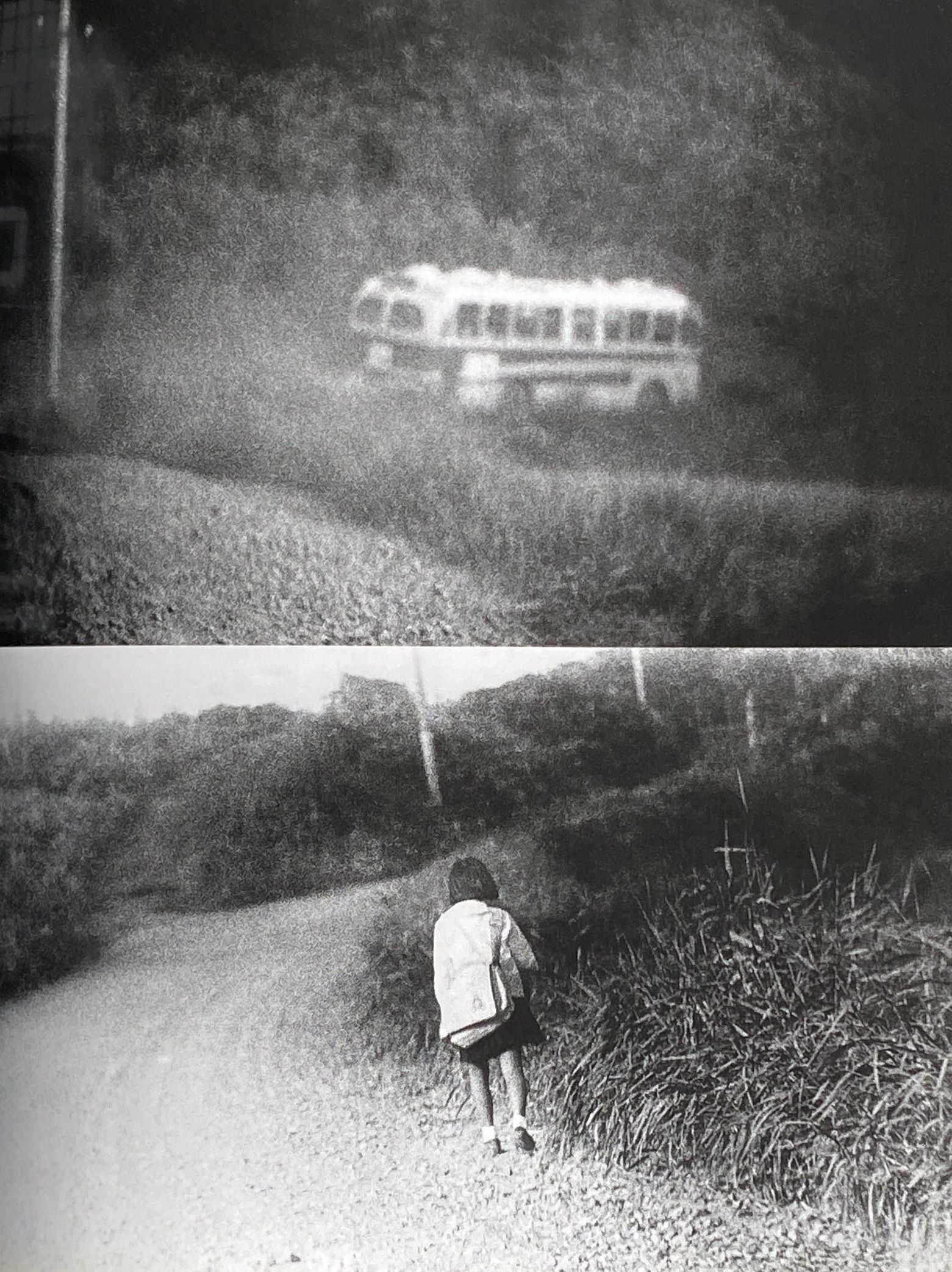 Daido Moriyama Fondation Cartier