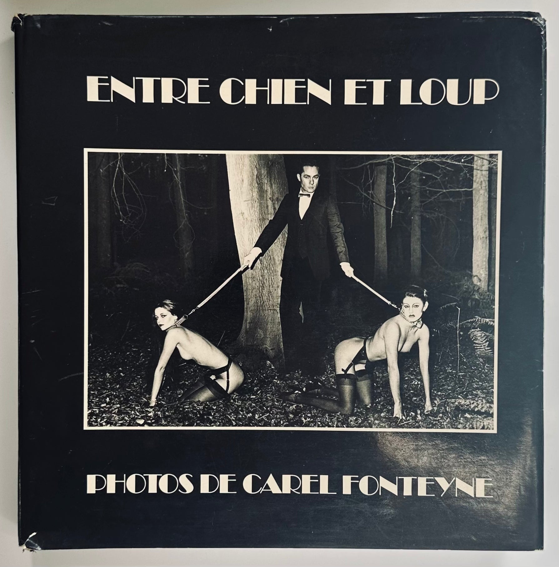 Entre Chen et Loup