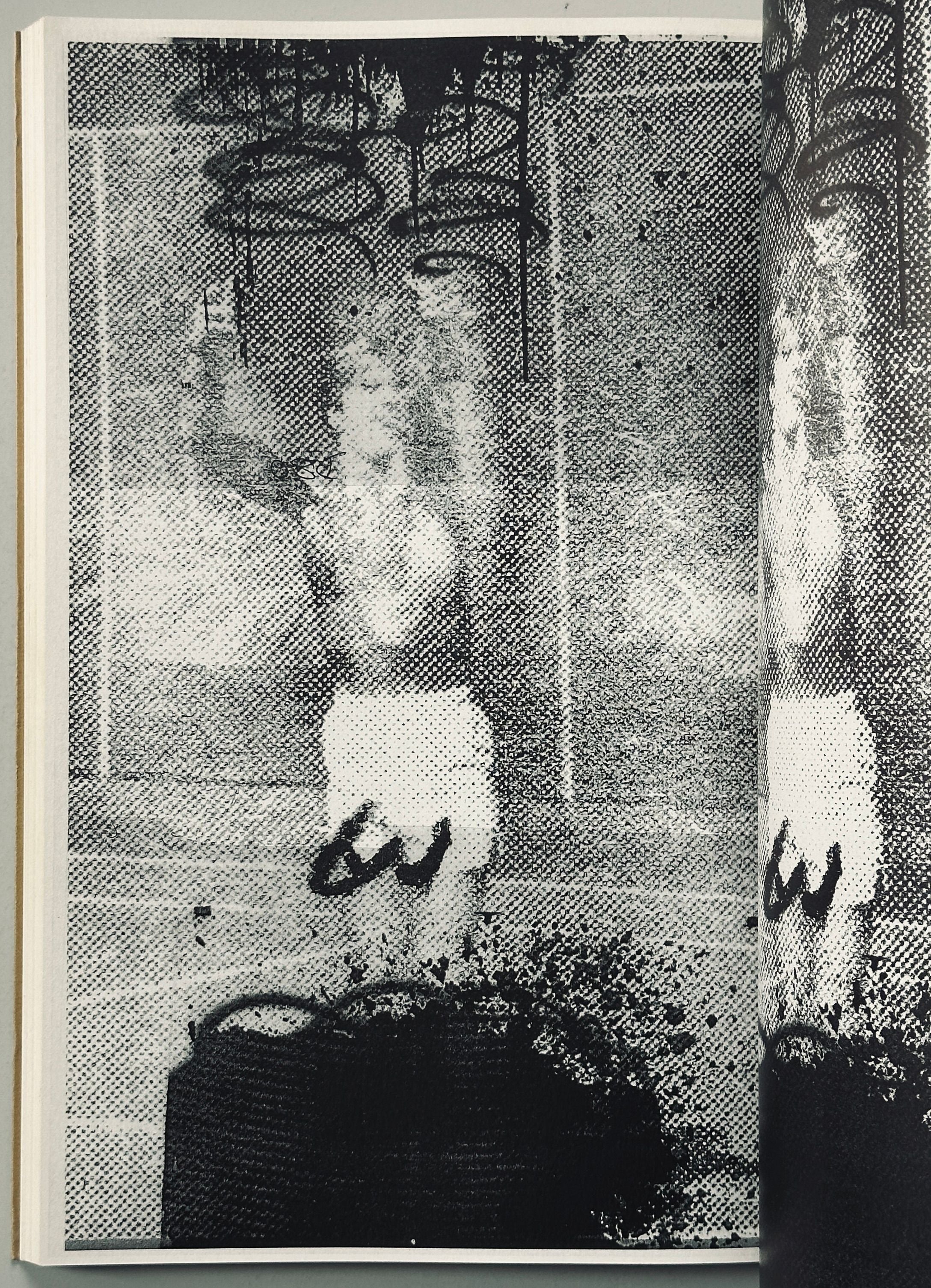 [SIGNED] HARMONY KORINE CHRISTOPHER WOOL PASS THE BITCH CHICKEN