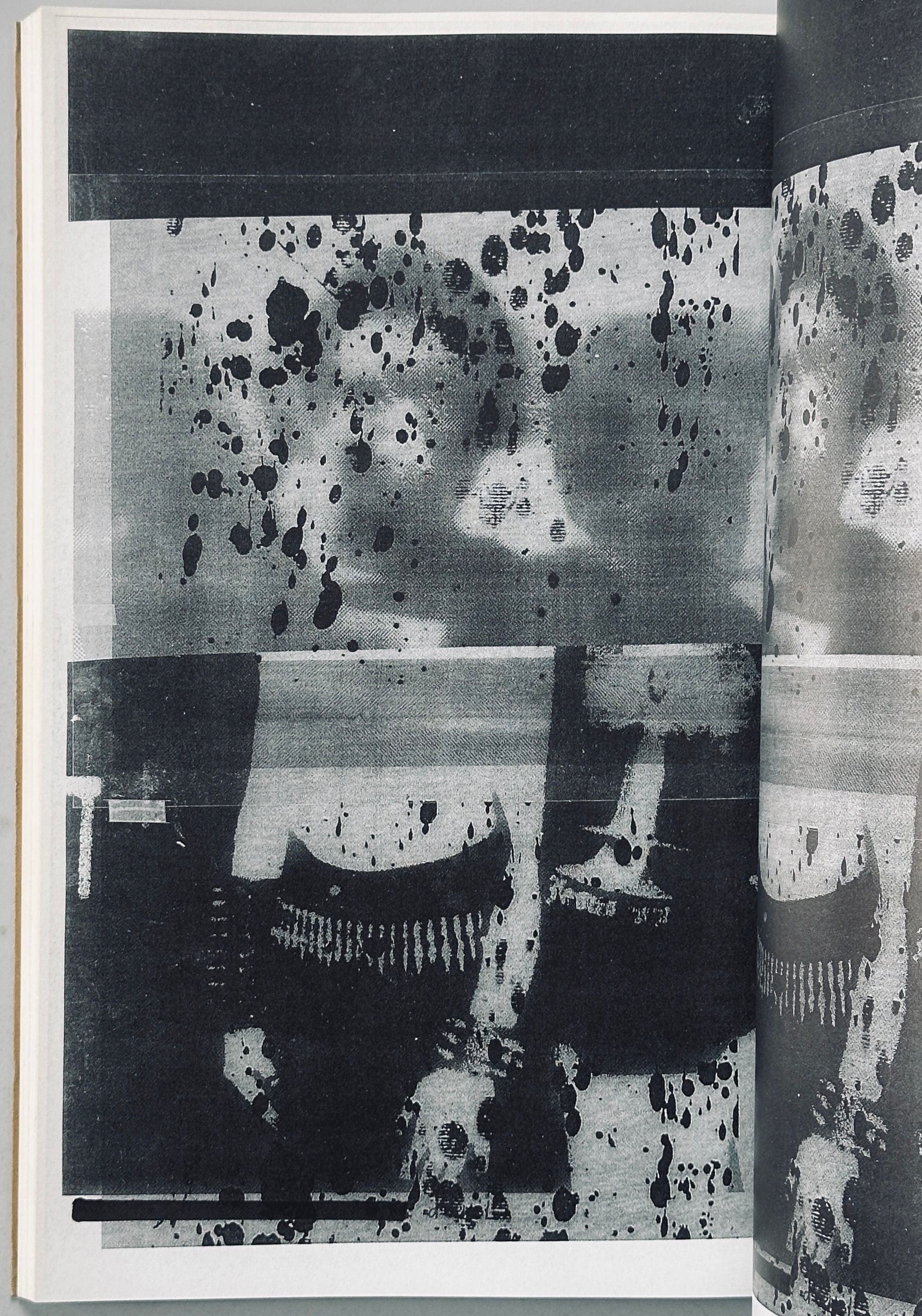 [SIGNED] HARMONY KORINE CHRISTOPHER WOOL PASS THE BITCH CHICKEN