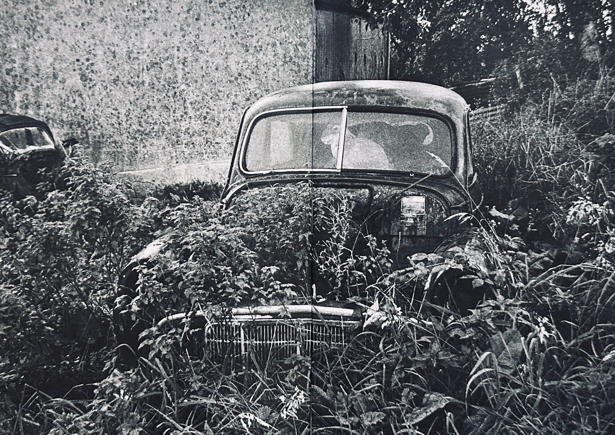 [SIGNED] MARTIN PARR ABANDONED MORRIS MINORS