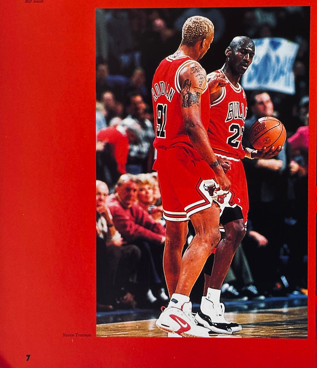Chicago Bulls All of the Champion