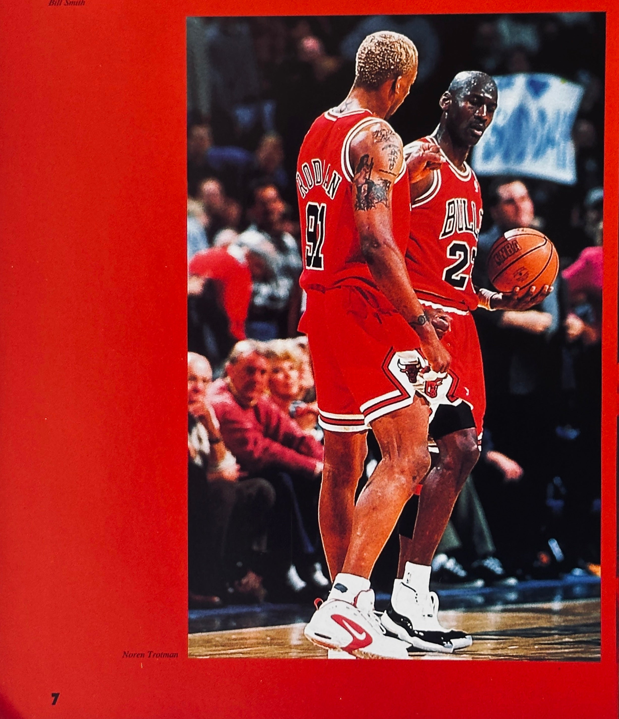 Chicago Bulls All of the Champion