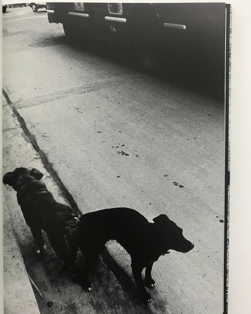 [SIGNED] DAIDO MORIYAMA MEMORIES OF A DOG