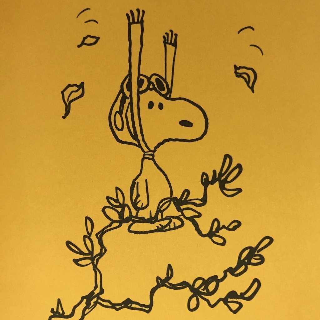 Snoopy and the Red Baron