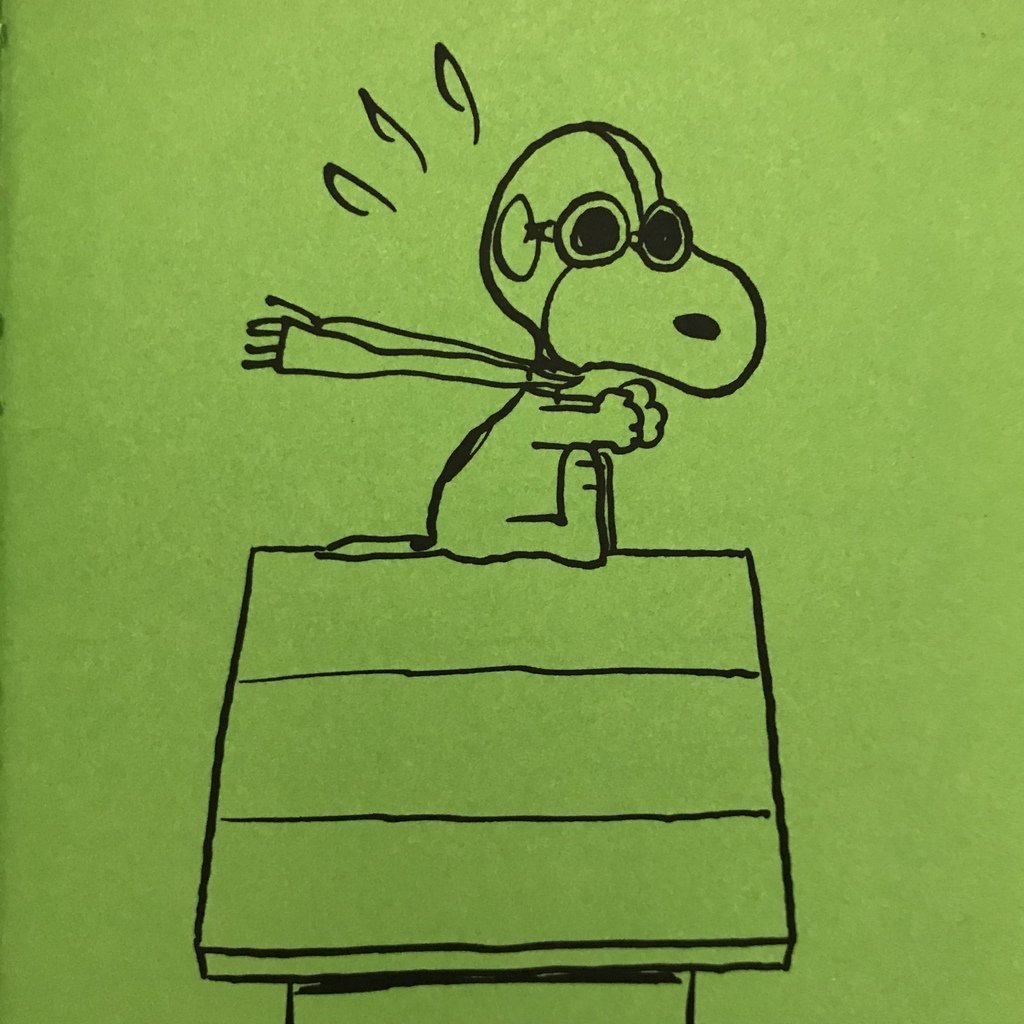 Snoopy and the Red Baron