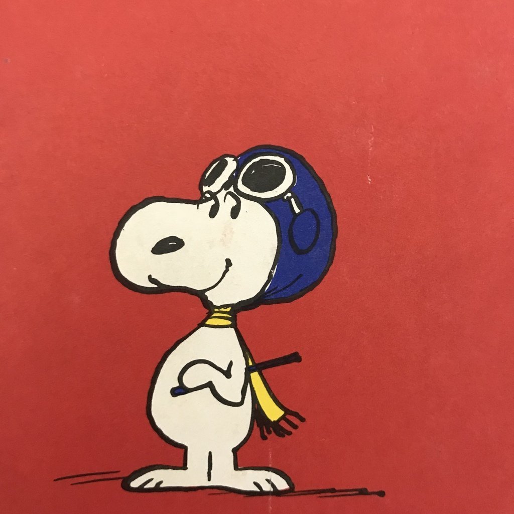 Snoopy and the Red Baron
